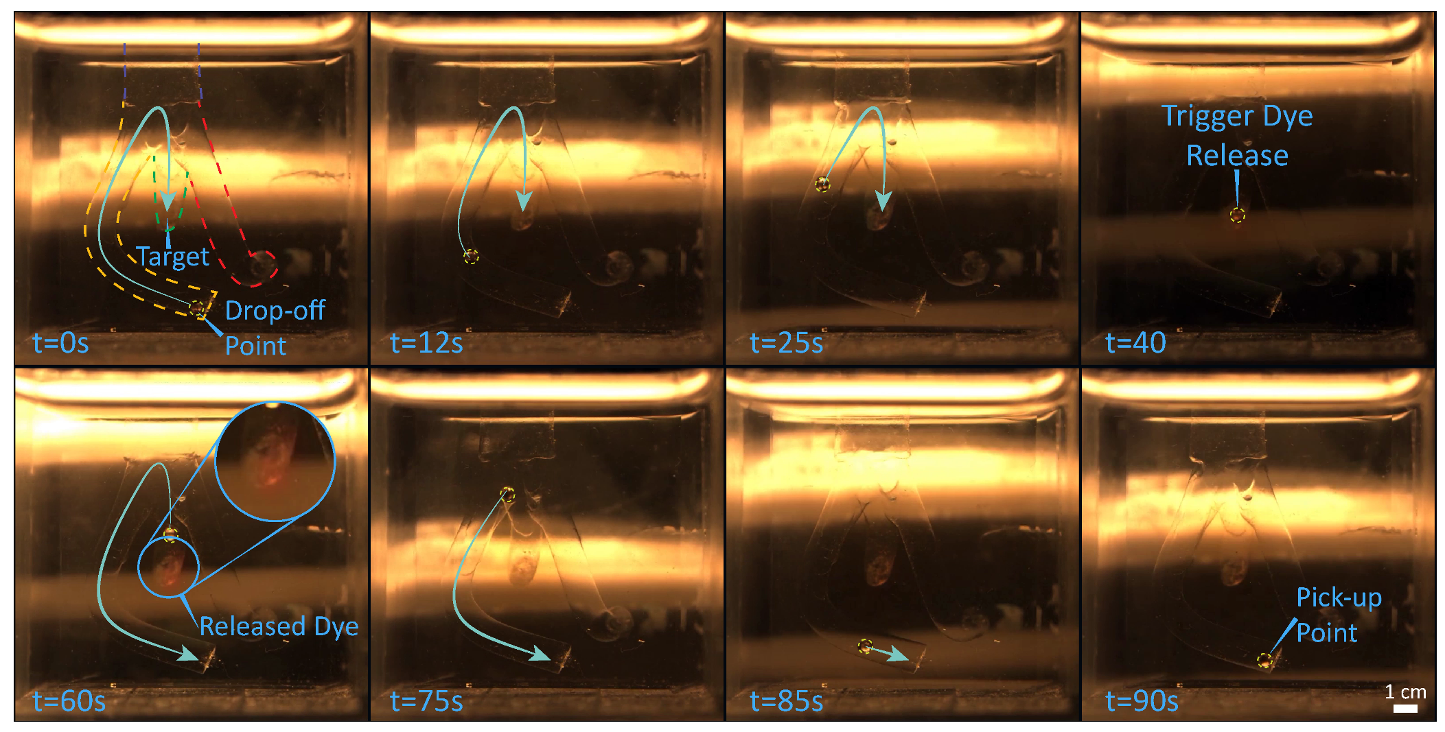 Micromachines 10 00504 g005