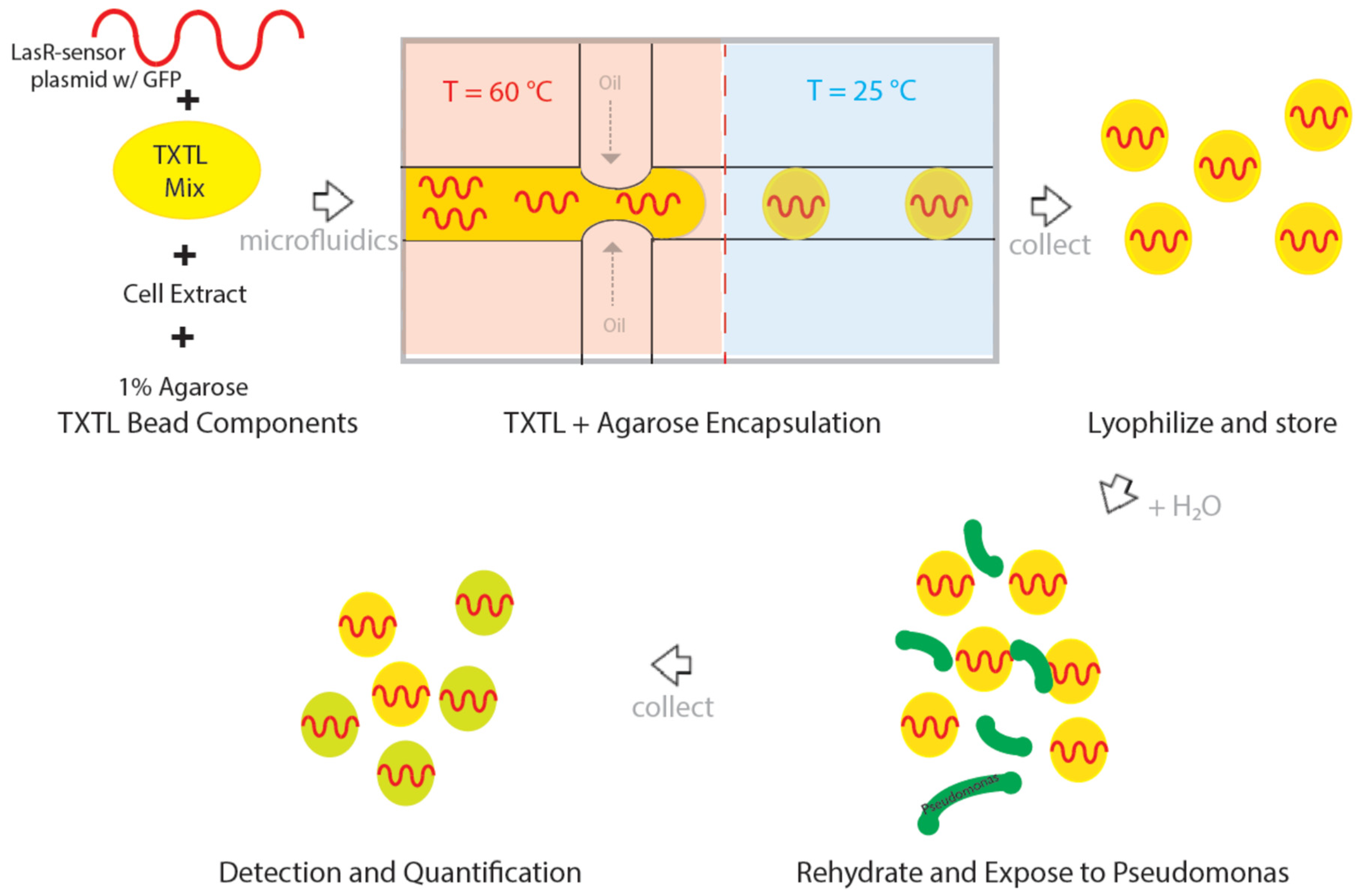 Micromachines 10 00506 g002