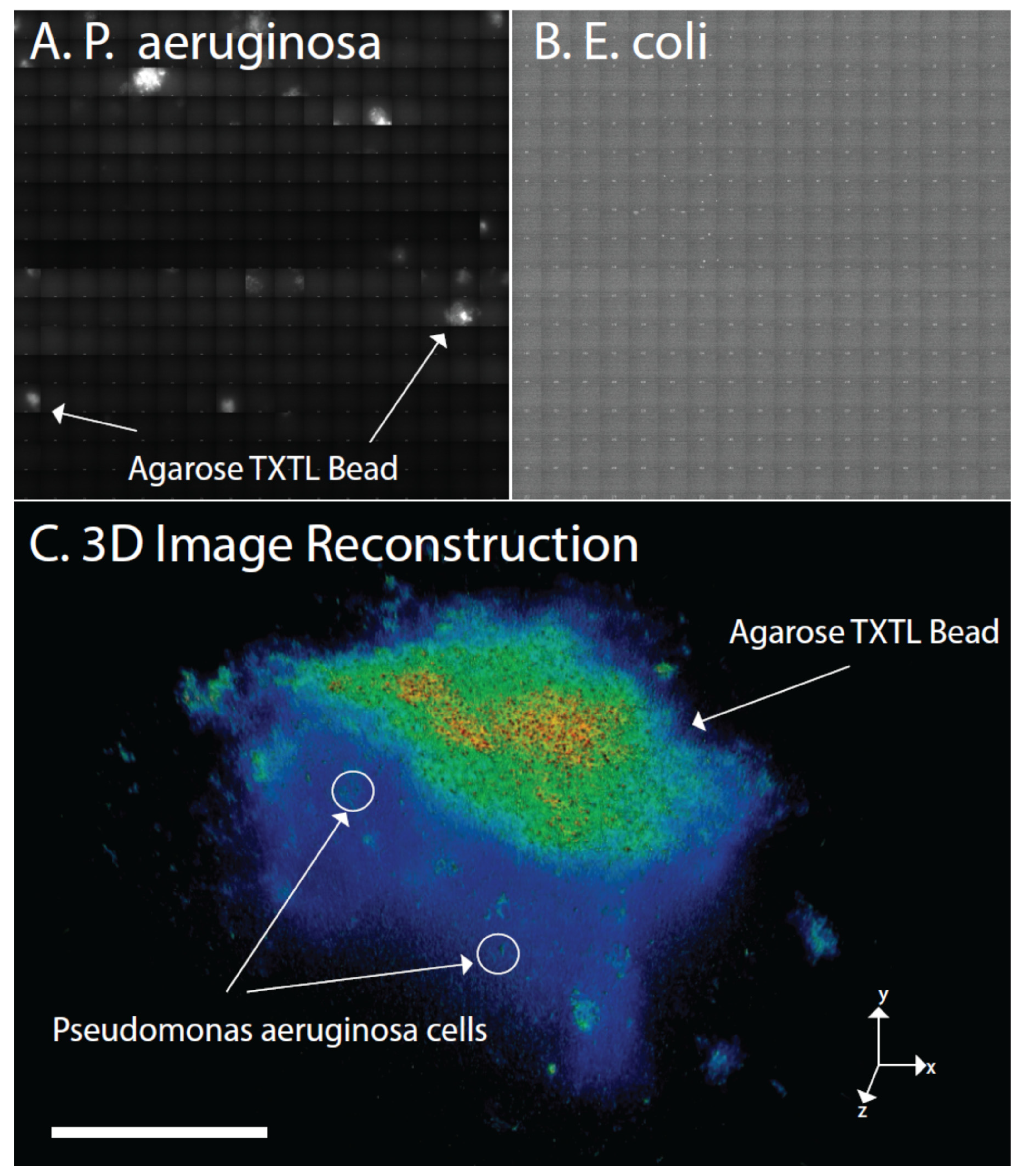 Micromachines 10 00506 g005