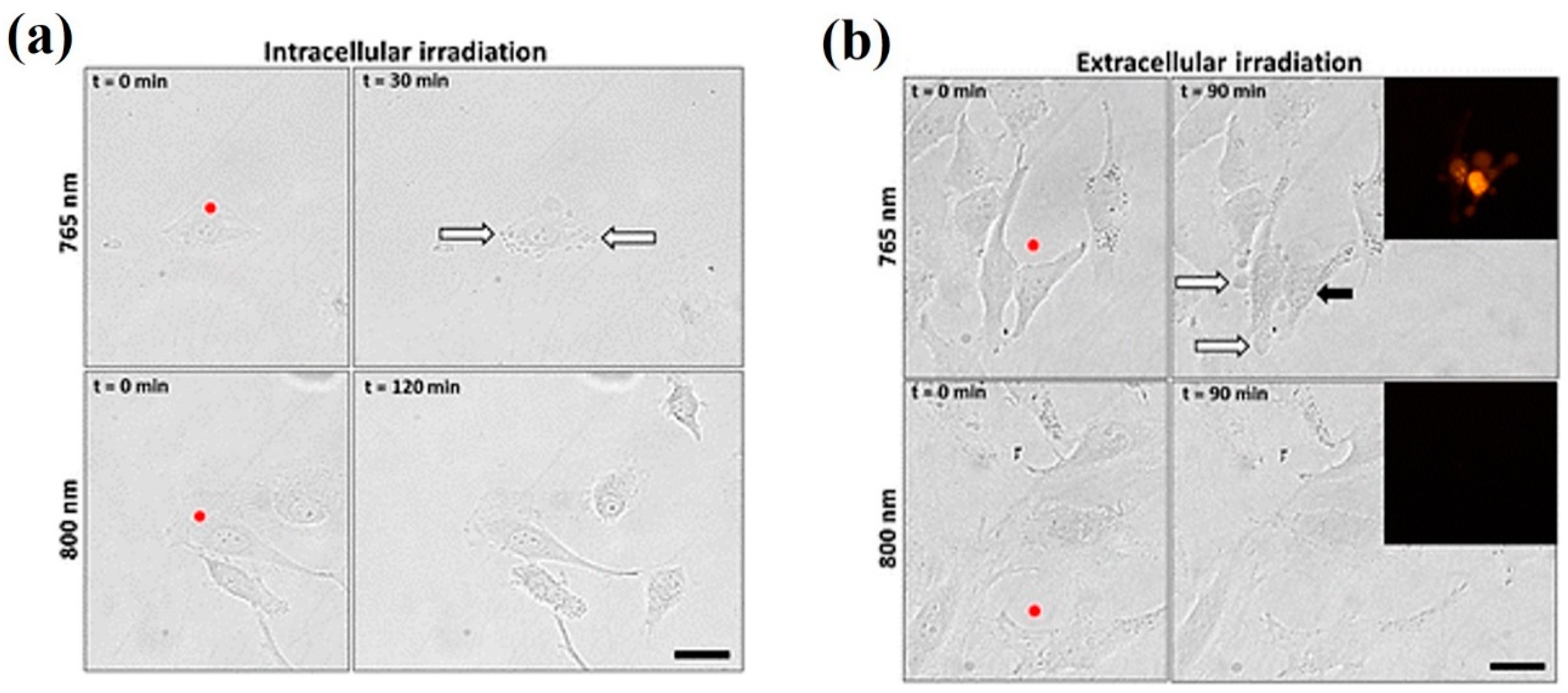 Micromachines 10 00507 g012