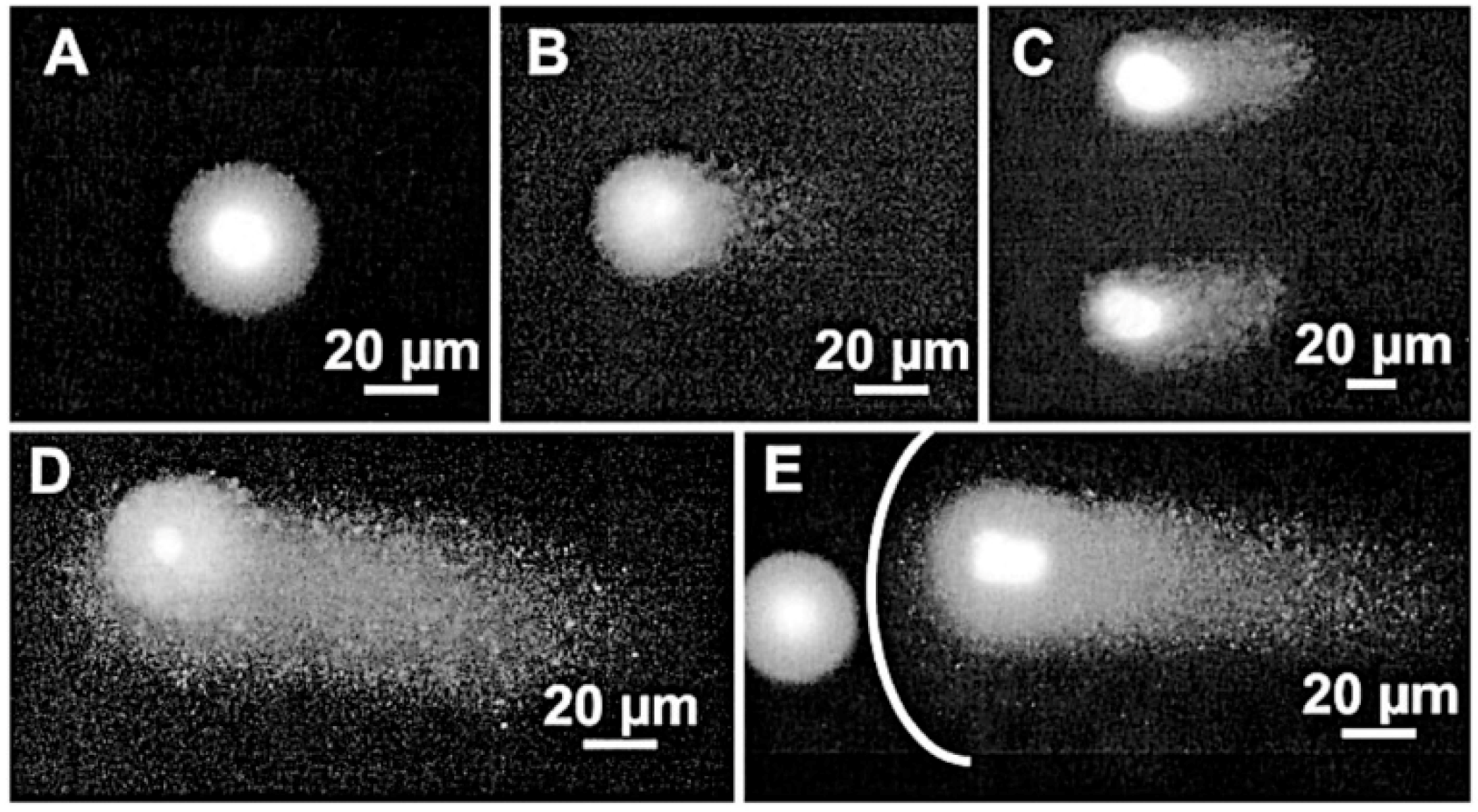 Micromachines 10 00507 g013