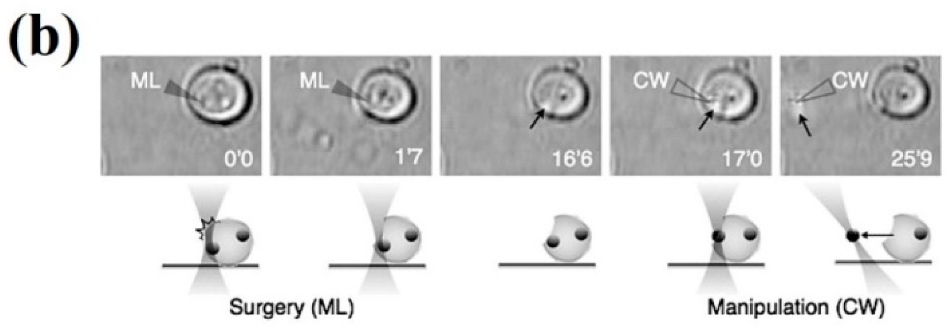 Micromachines 10 00507 g016b