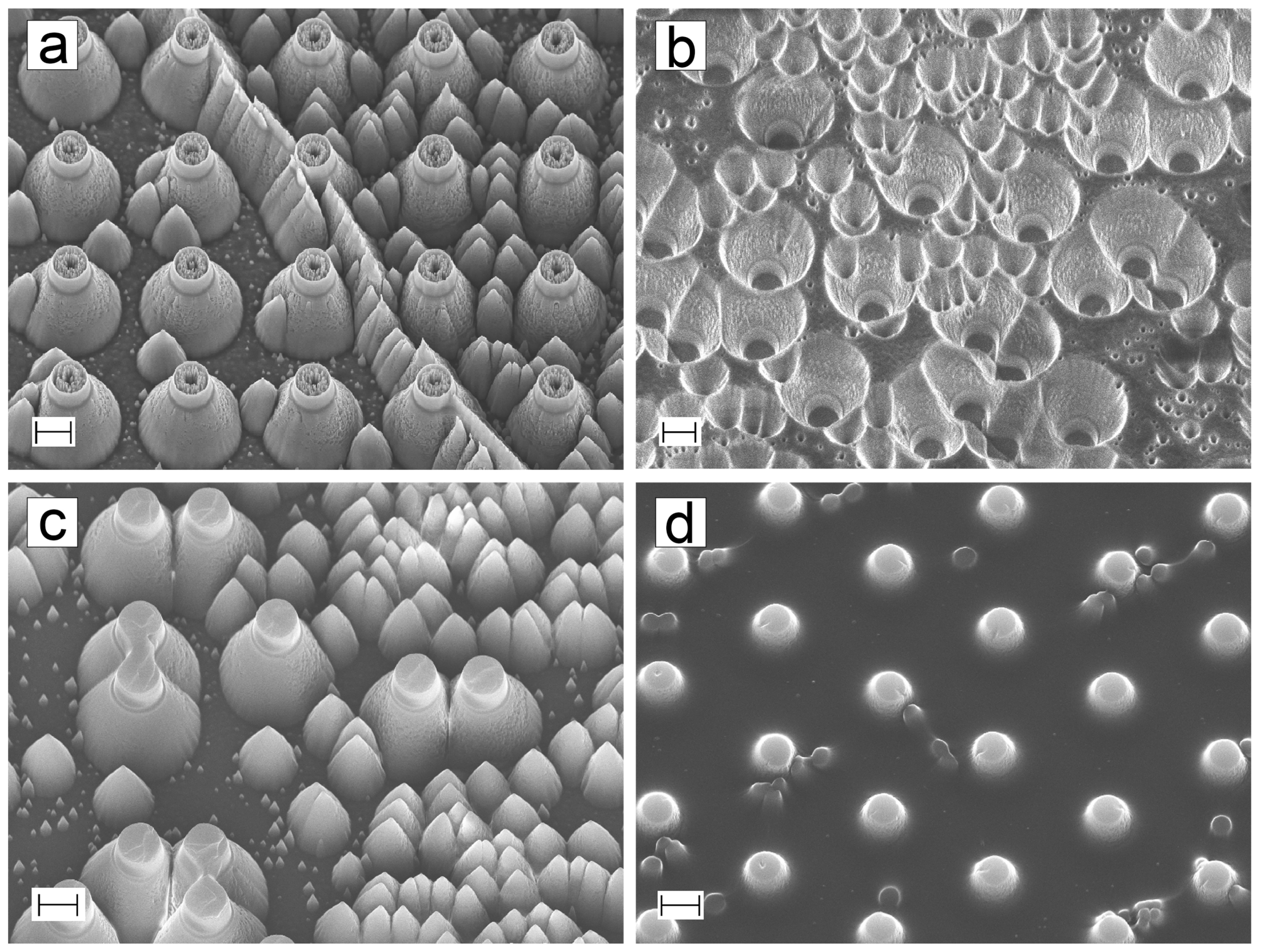 Micromachines 10 00510 g007 Micromachines 10 00510 g007