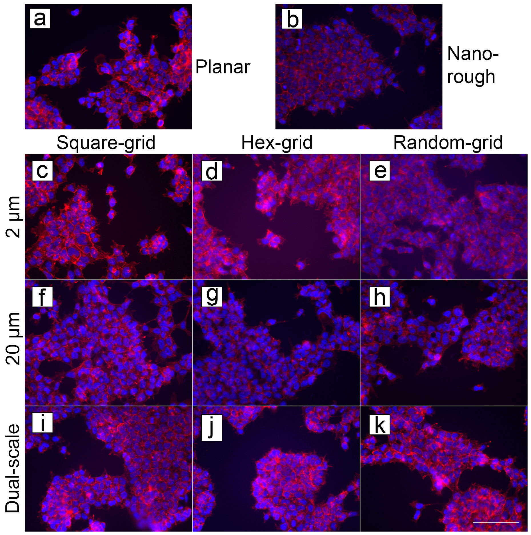 Micromachines 10 00510 g009 Micromachines 10 00510 g009
