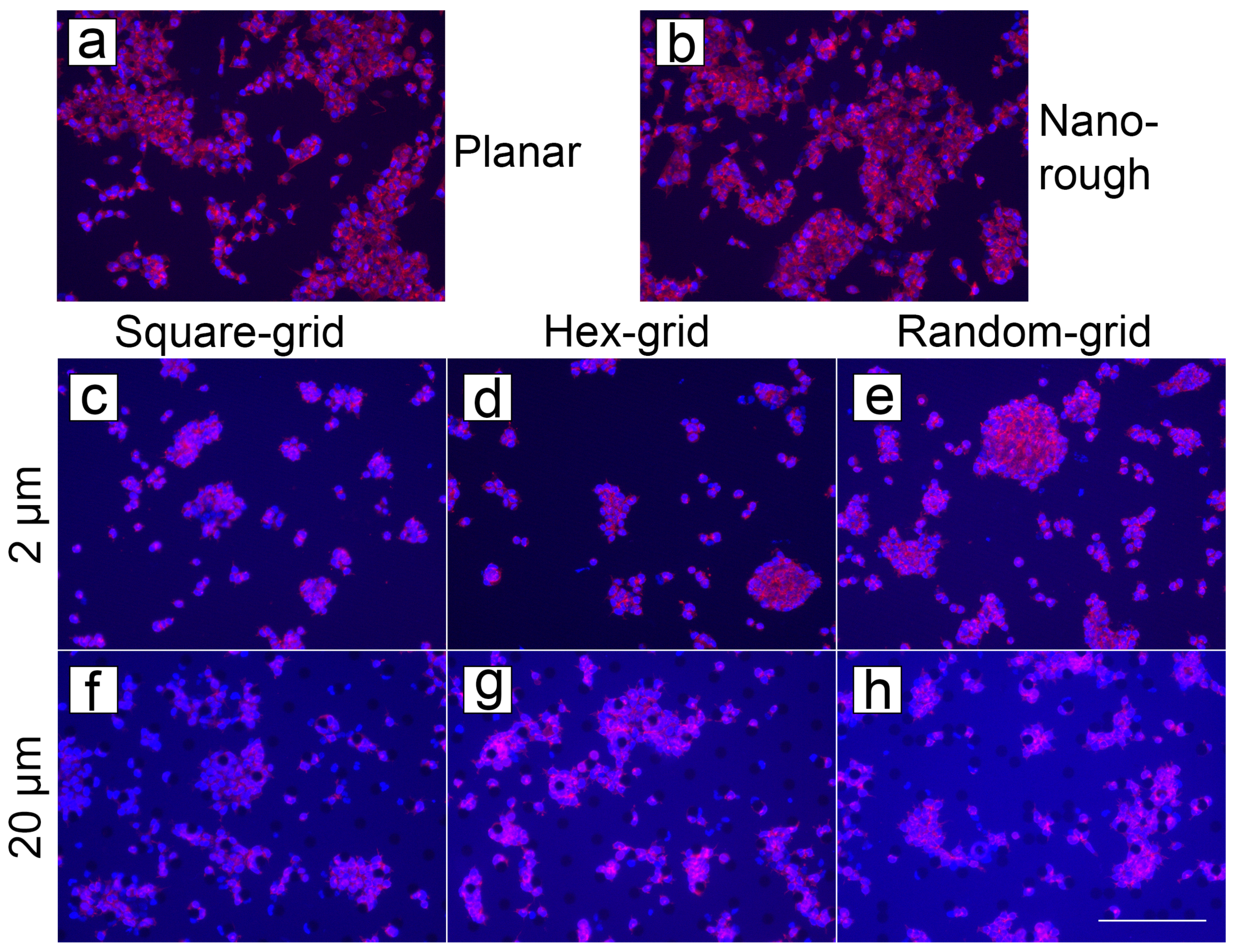 Micromachines 10 00510 g010 Micromachines 10 00510 g010