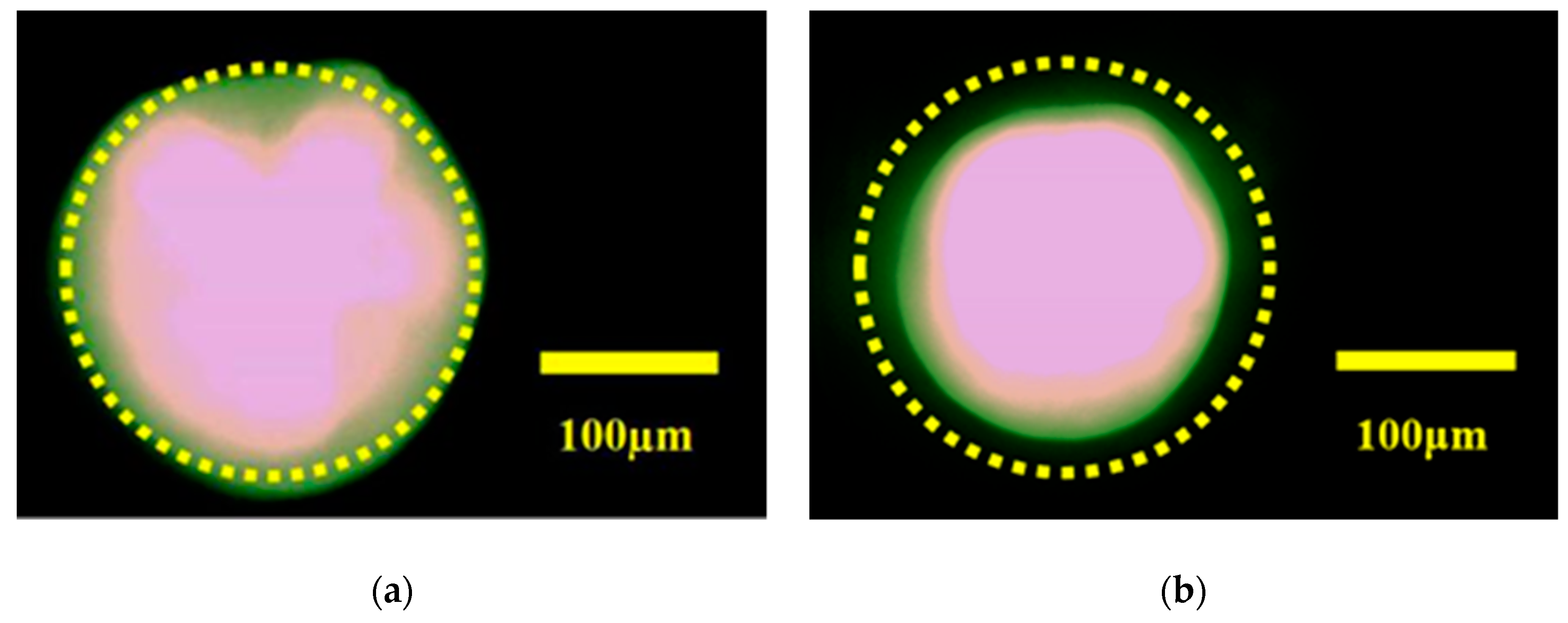Micromachines 10 00515 g005