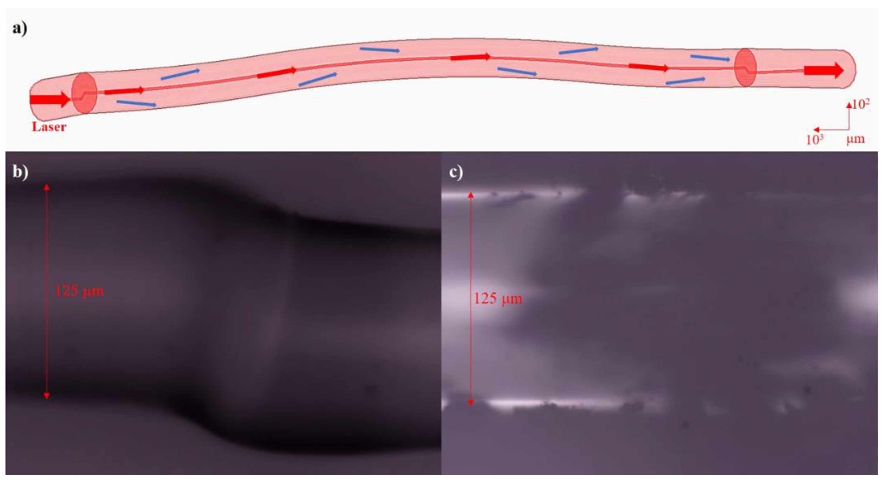 Micromachines 10 00521 g001 Micromachines 10 00521 g001