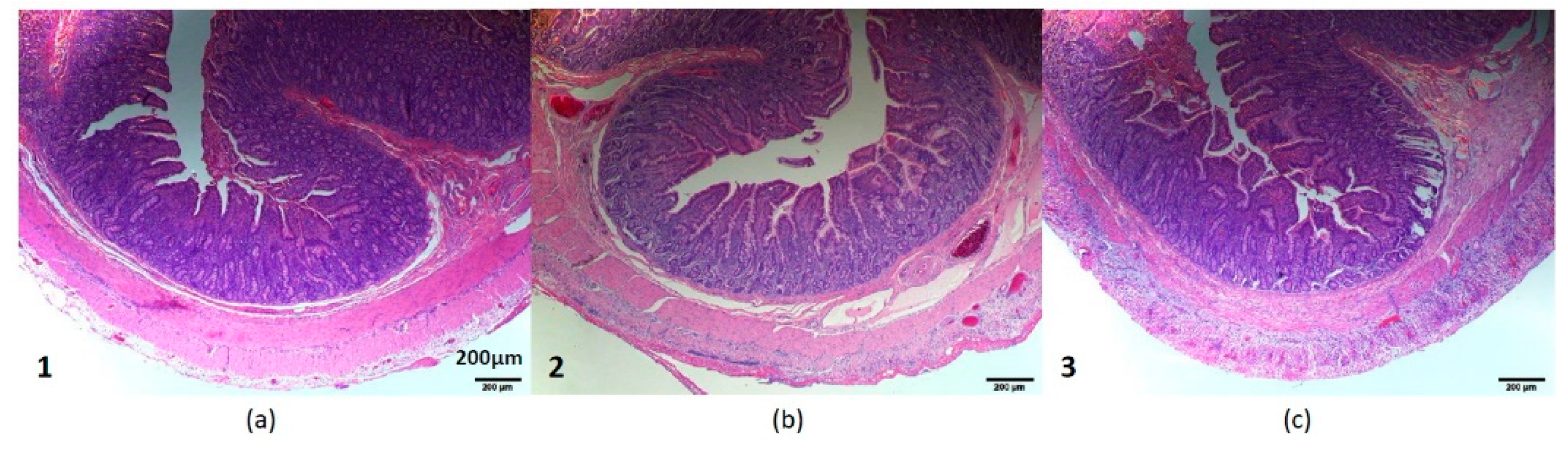 Micromachines 10 00525 g010 Micromachines 10 00525 g010