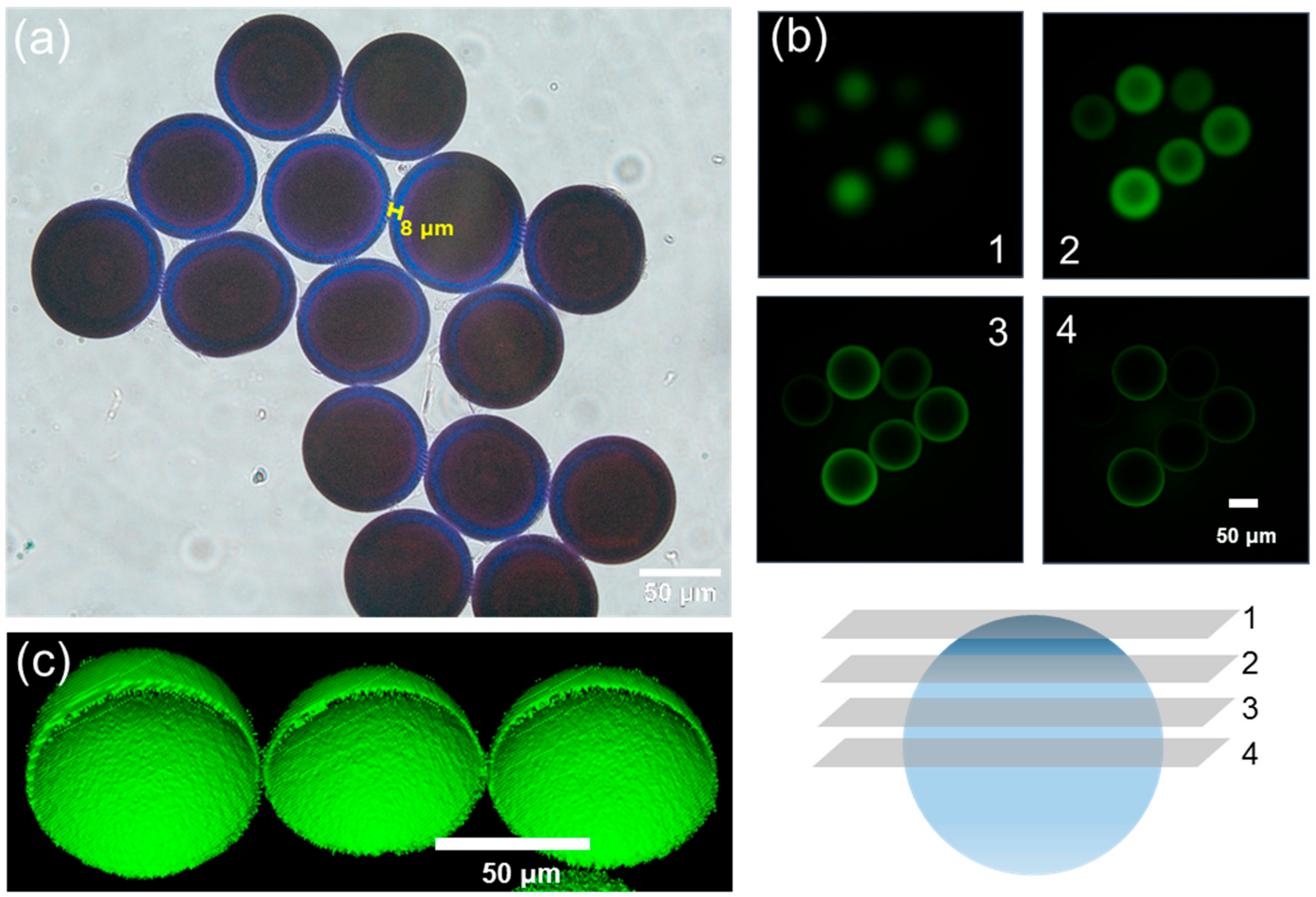 Micromachines 10 00527 g003