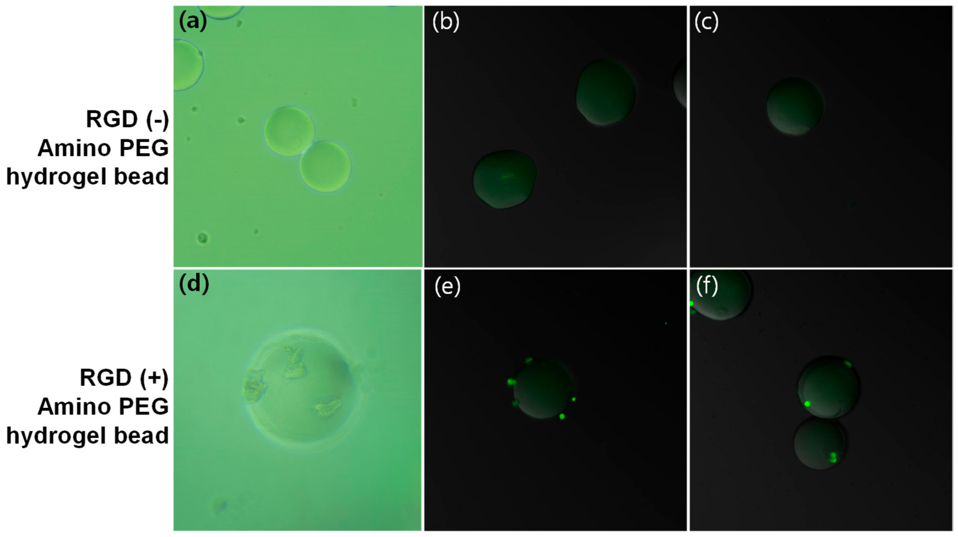 Micromachines 10 00527 g005