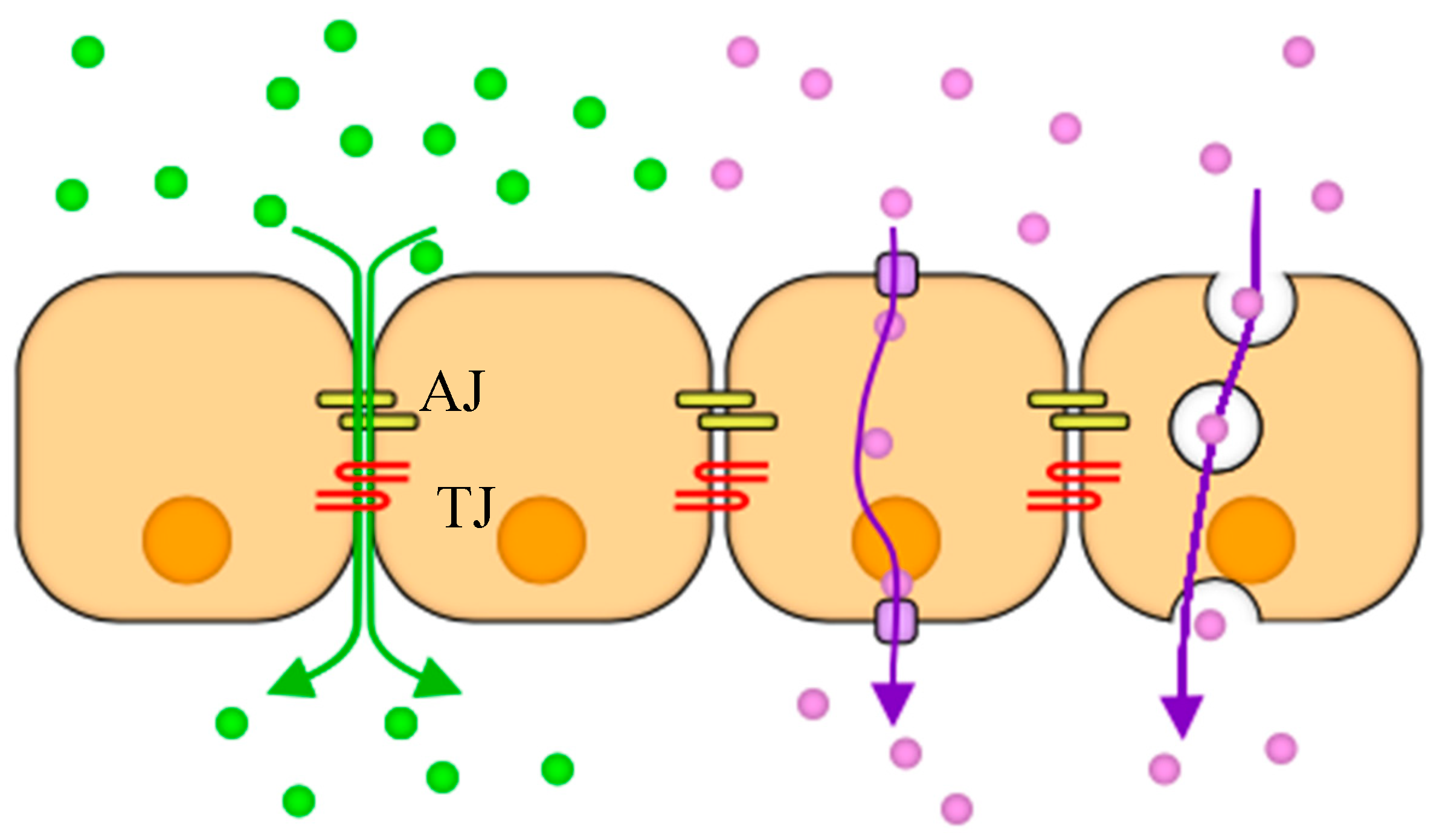 Micromachines 10 00533 g002 Micromachines 10 00533 g002