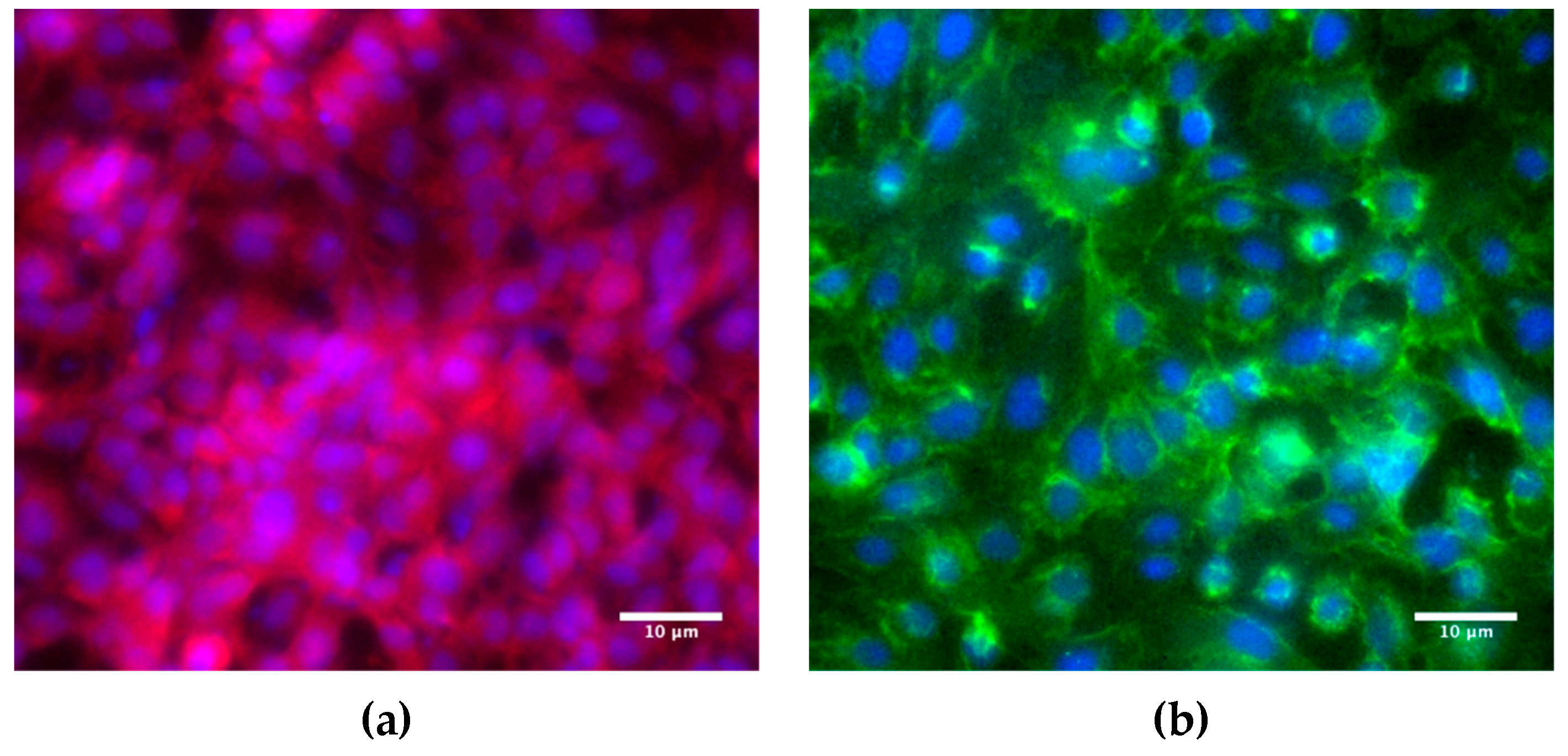 Micromachines 10 00533 g004 Micromachines 10 00533 g004