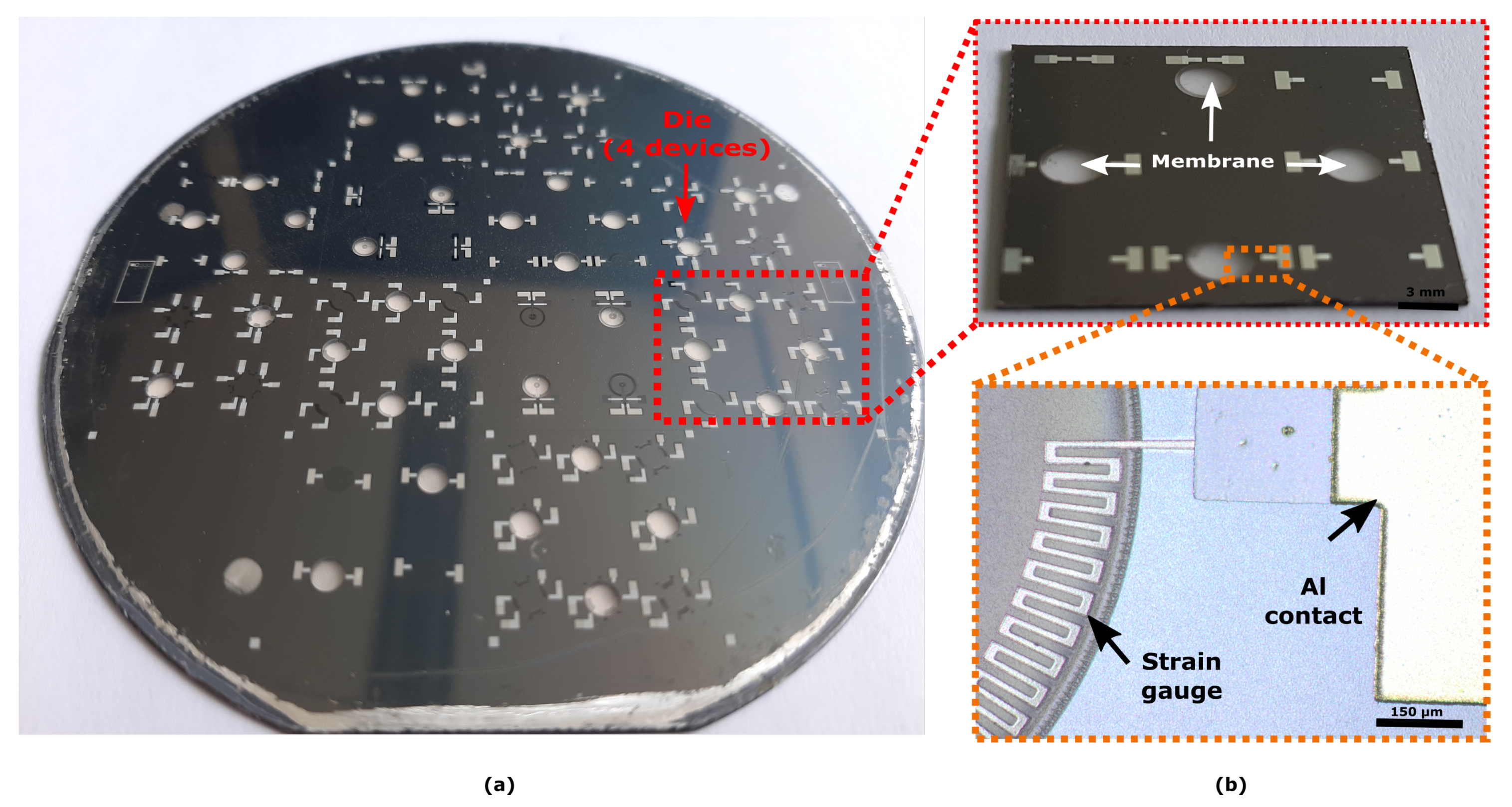 Micromachines 10 00536 g006