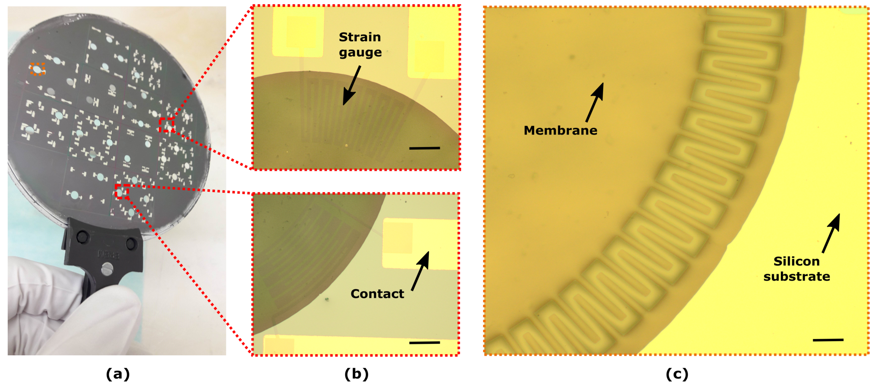 Micromachines 10 00536 g007