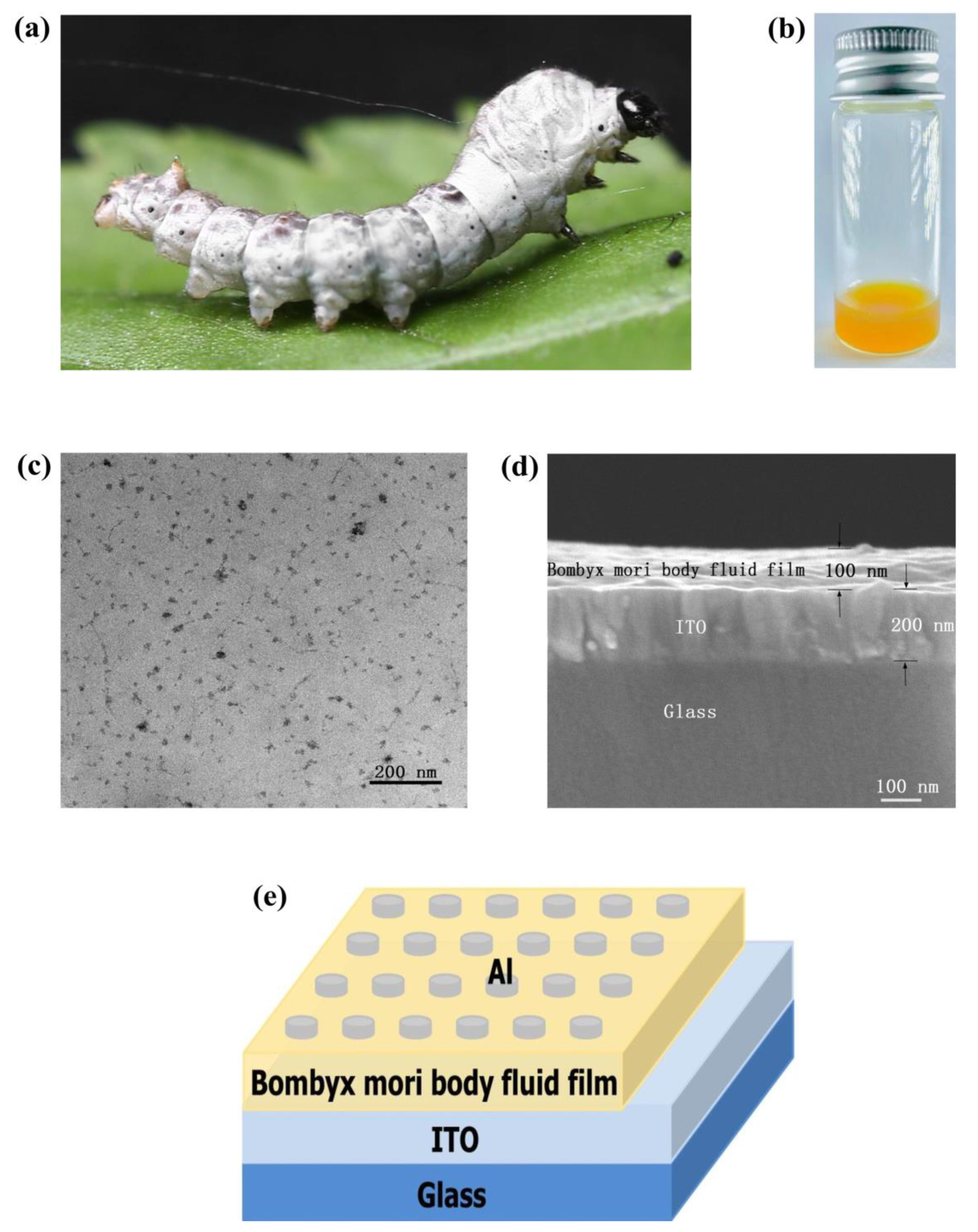 Micromachines 10 00540 g001
