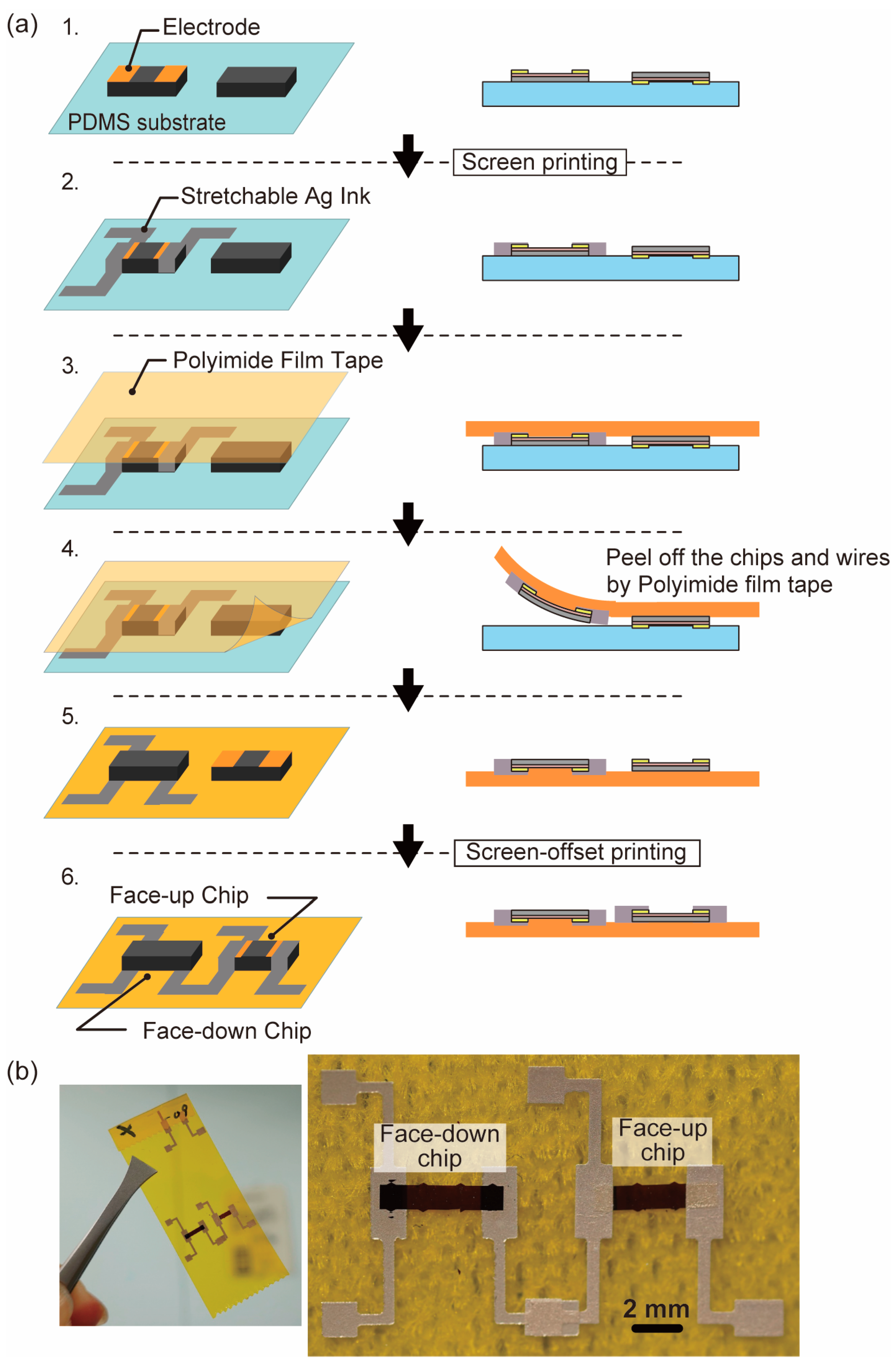 Micromachines 10 00563 g006 Micromachines 10 00563 g006