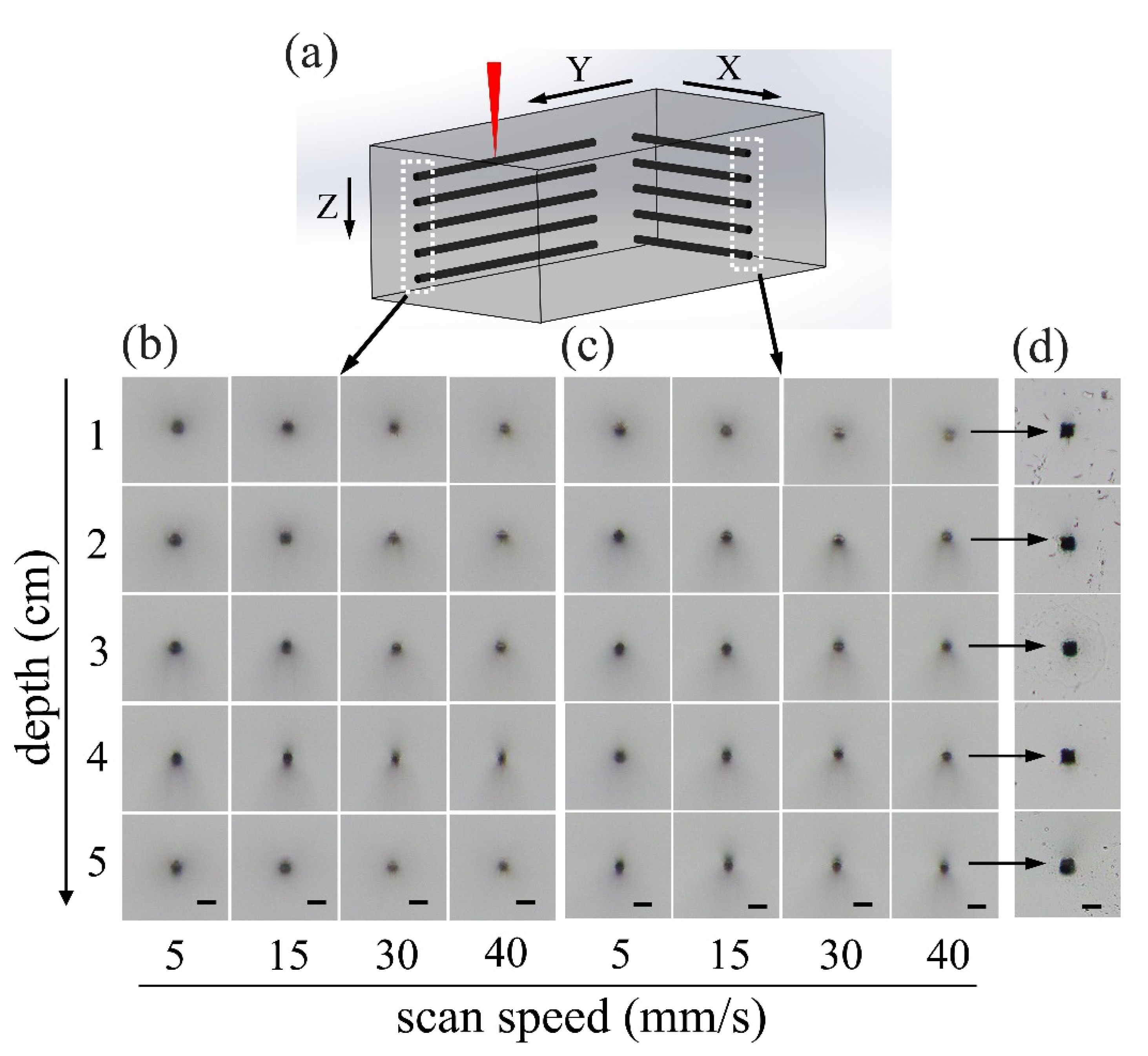 Micromachines 10 00565 g003