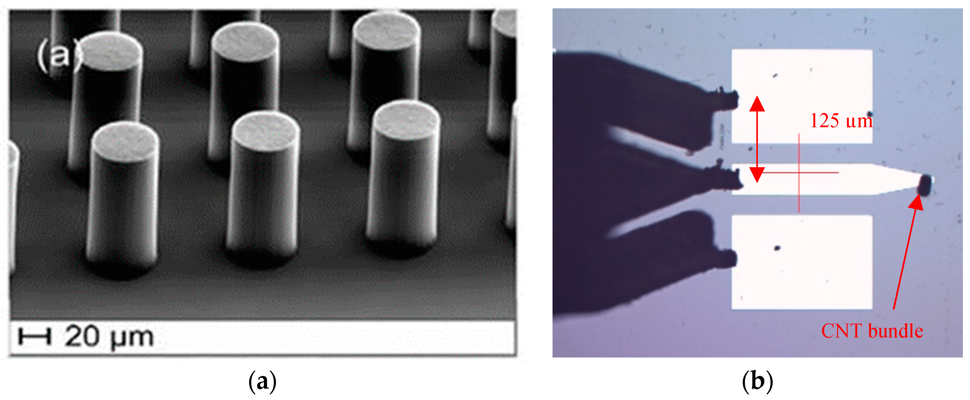 Micromachines 10 00566 g001