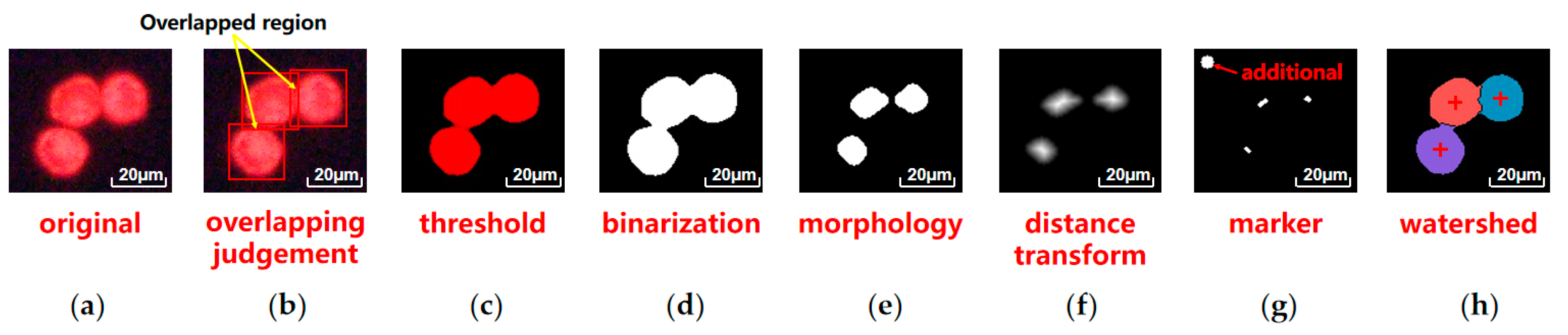 Micromachines 10 00567 g003