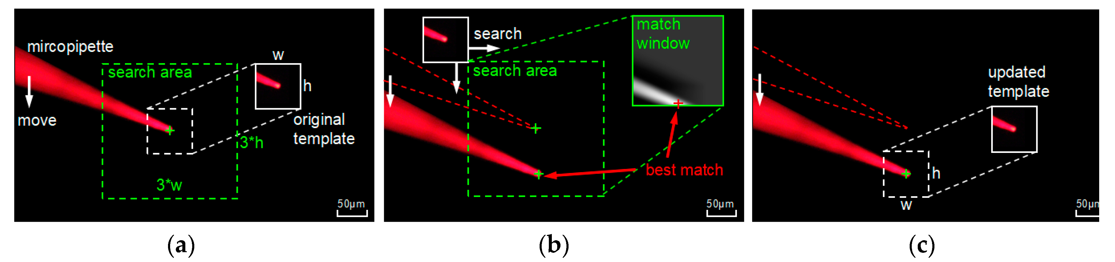 Micromachines 10 00567 g004