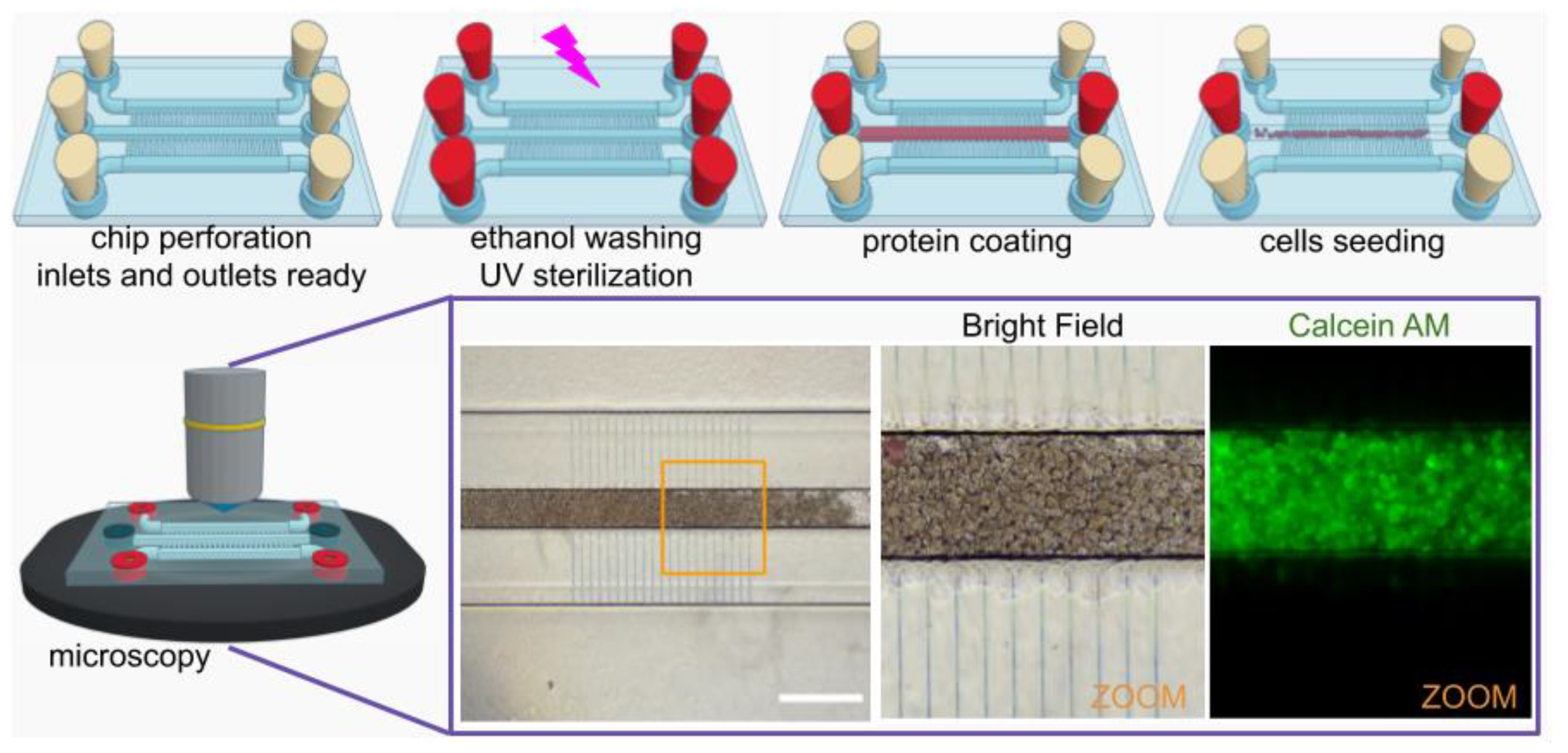 Micromachines 10 00576 g008