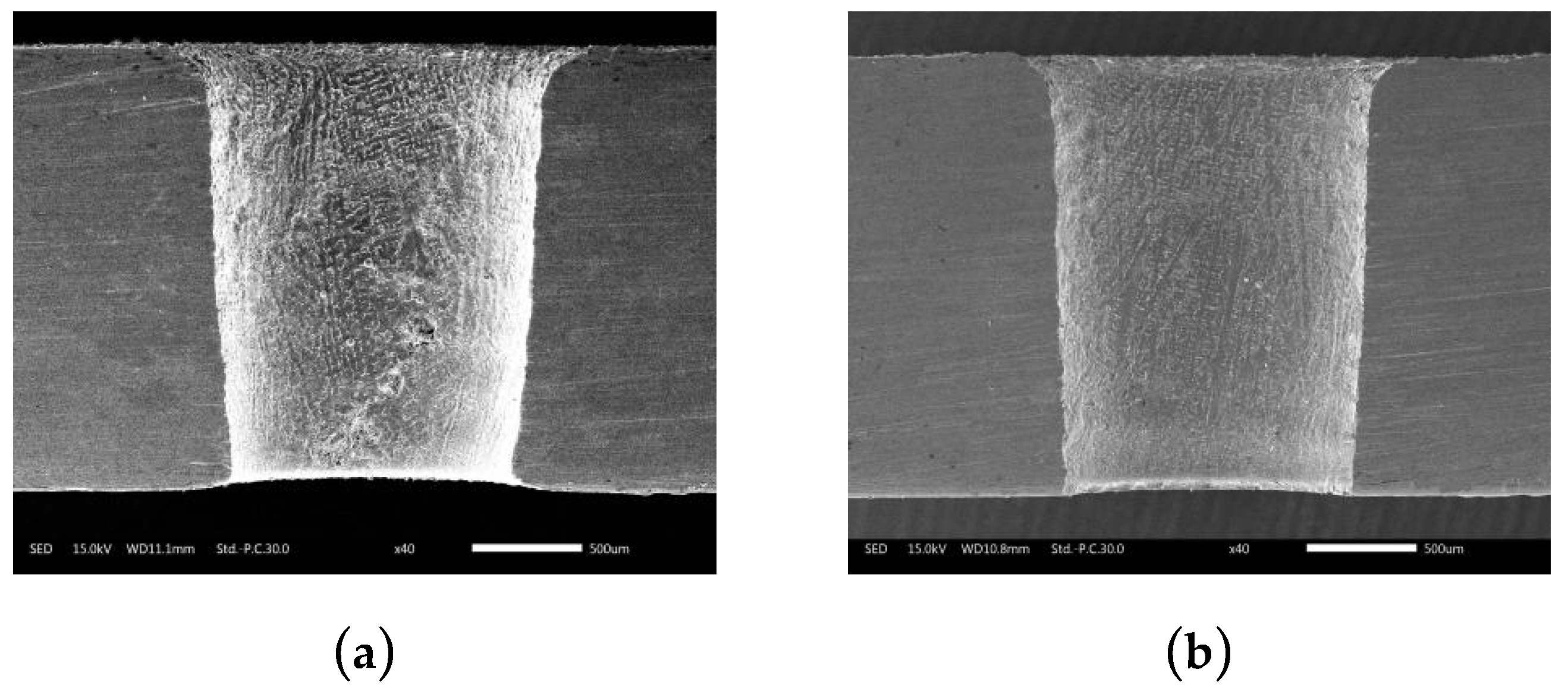 Micromachines 10 00634 g017