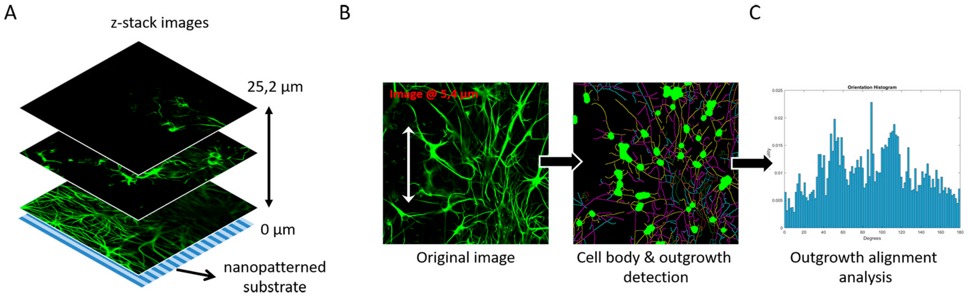 Micromachines 10 00638 g002