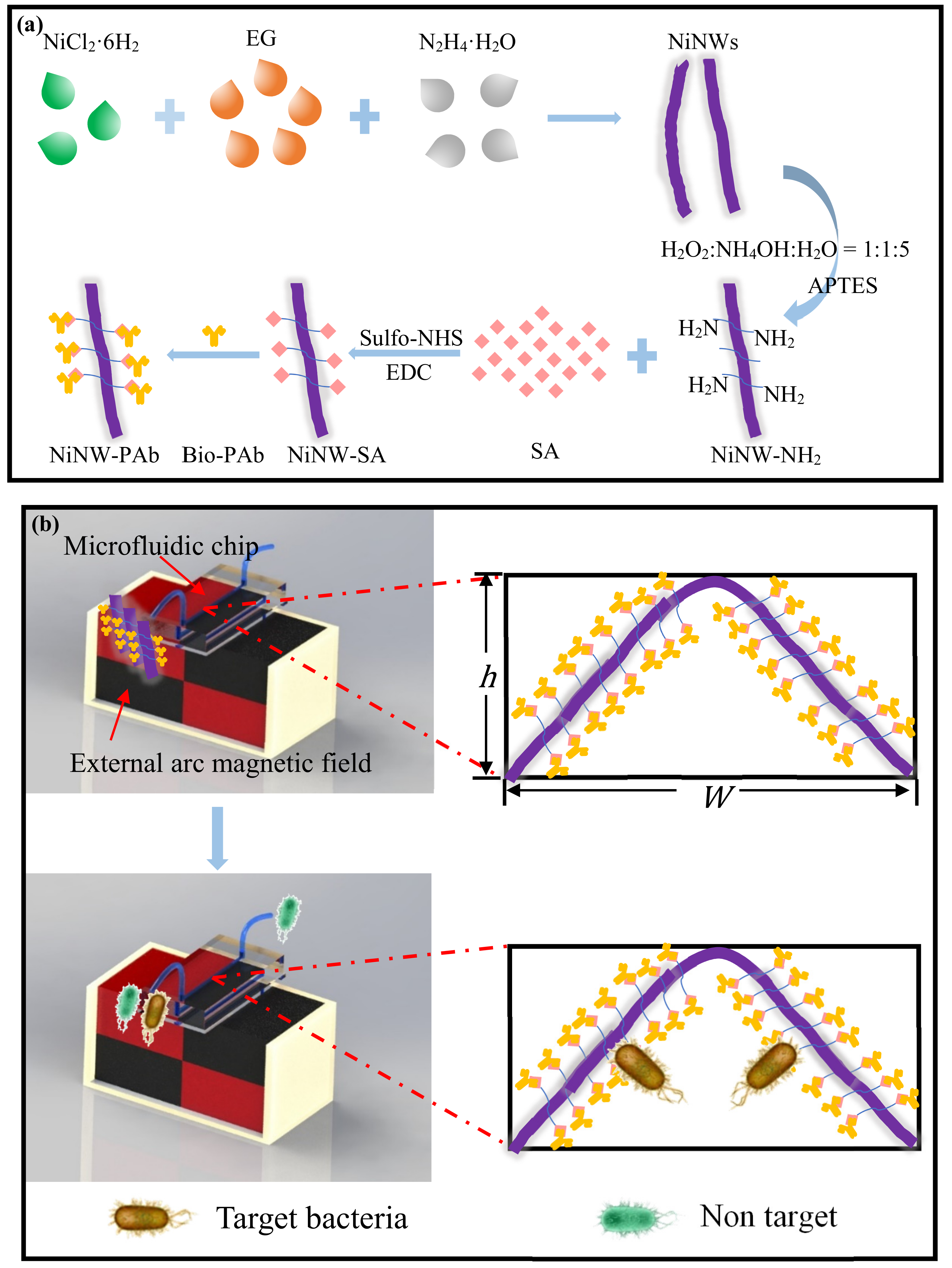 Micromachines | Free Full-Text | Continuous-Flow Separation and 