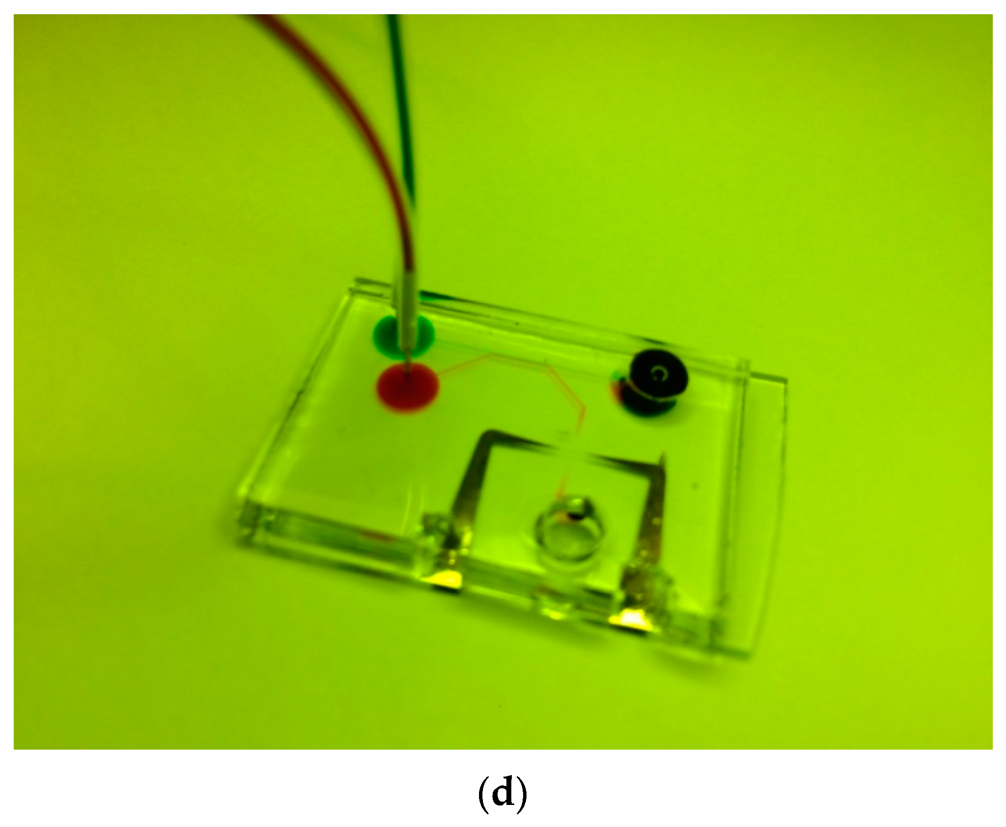 Micromachines 10 00647 g001b