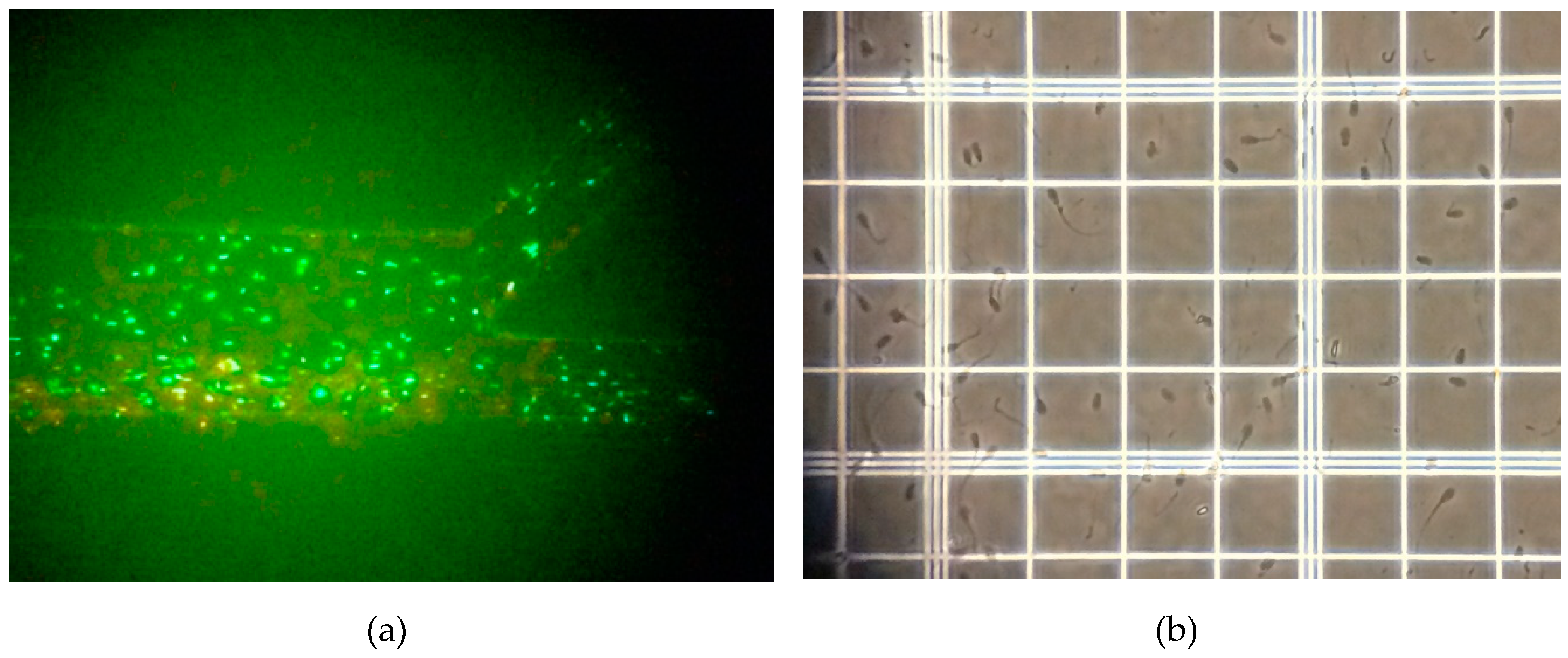 Micromachines 10 00647 g004