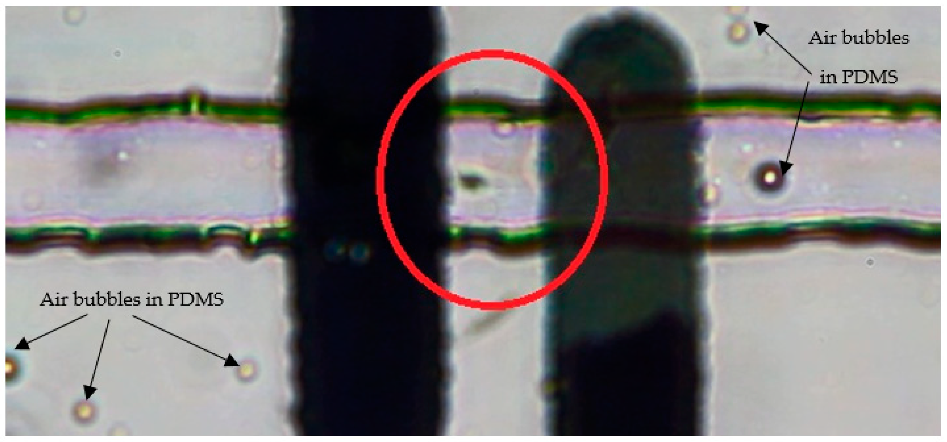 Micromachines 10 00647 g006