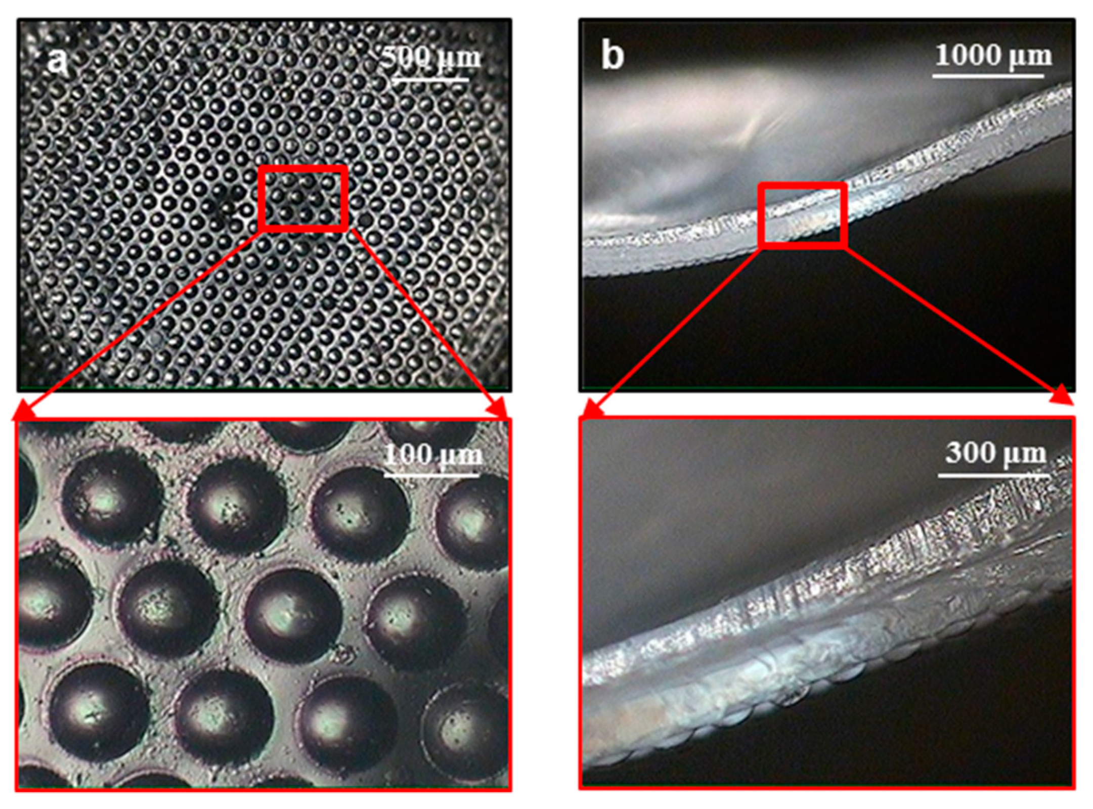 Micromachines 10 00654 g009