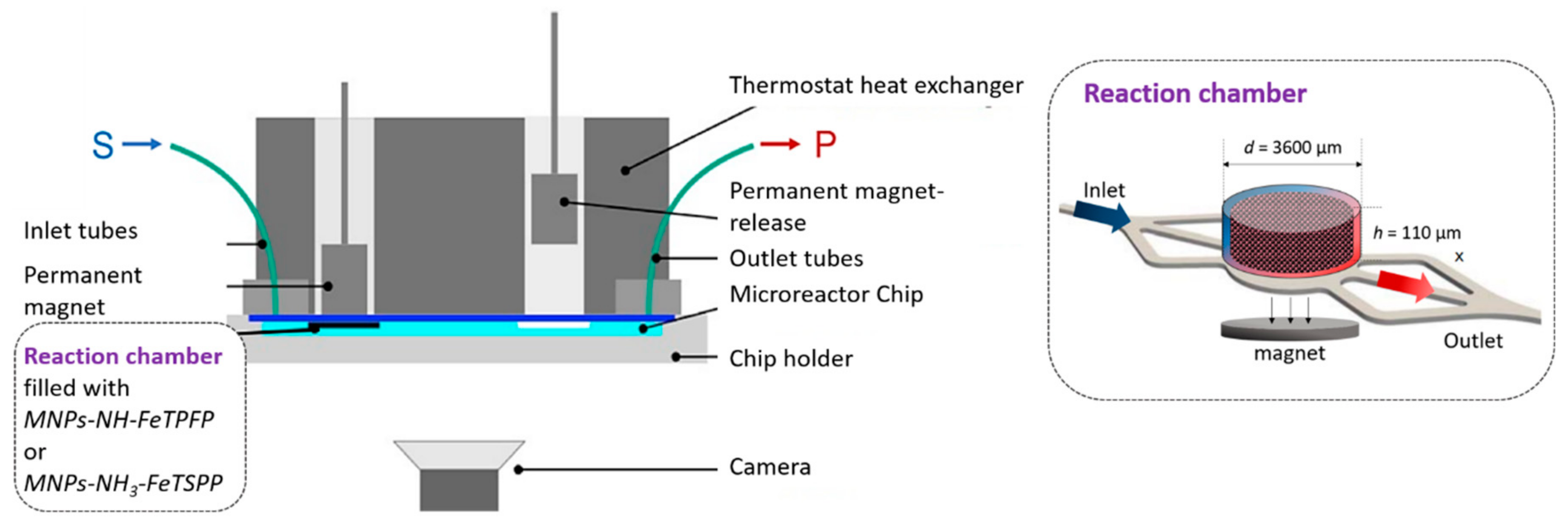 cip magnetic de la forumul prostatitei