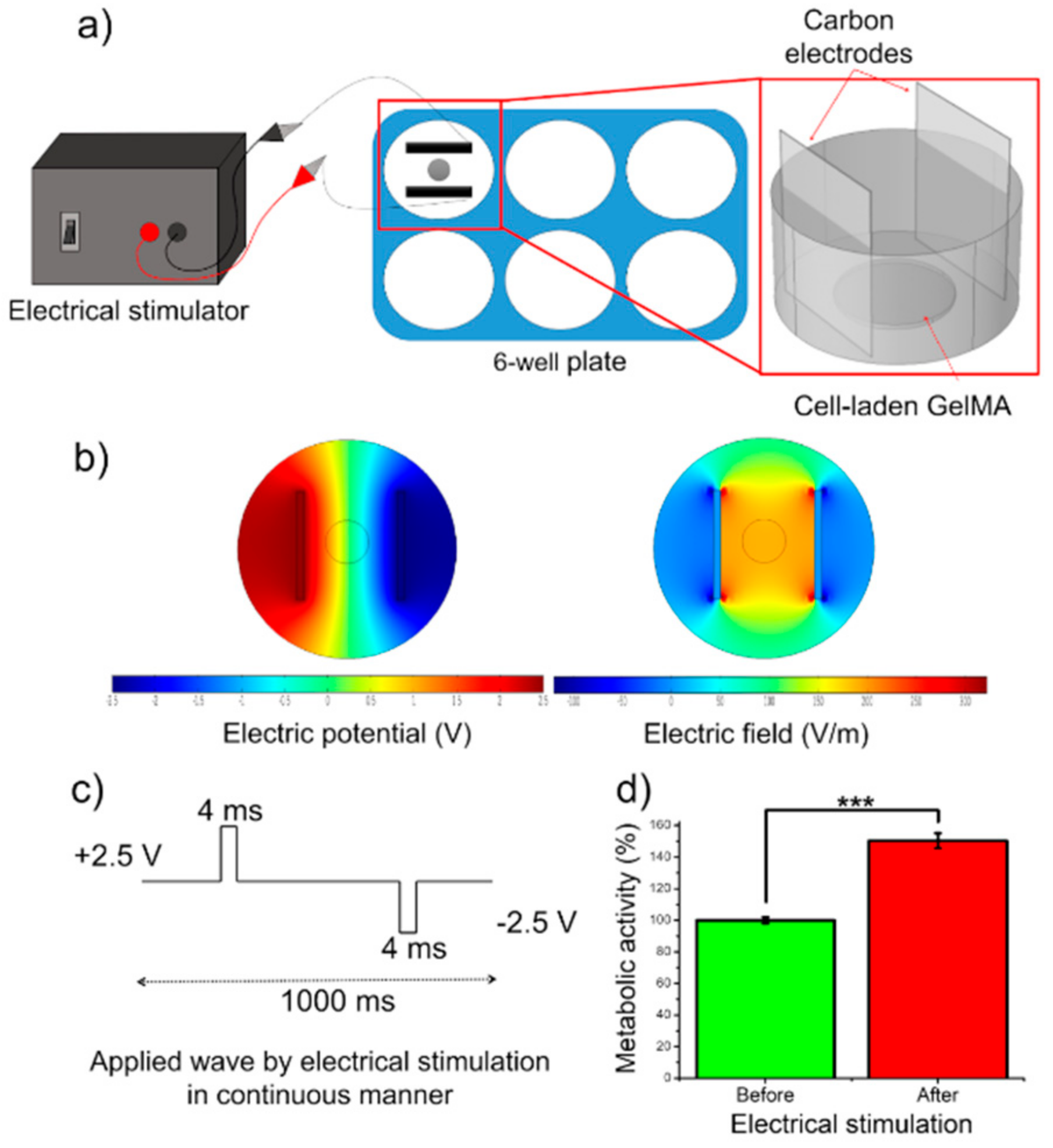 Micromachines Free Full Text Three Dimensional Bioprinting Of Functional Skeletal Muscle Tissue Using Gelatin Methacryloyl Alginate Bioinks Html