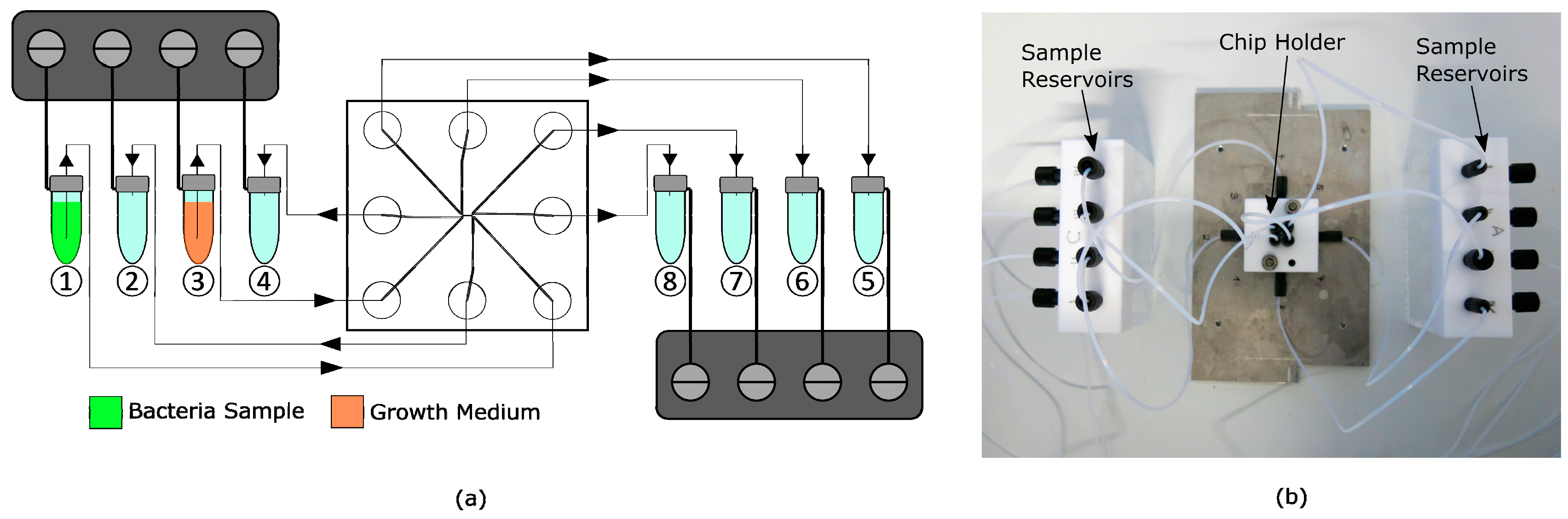 Micromachines 10 00691 g003