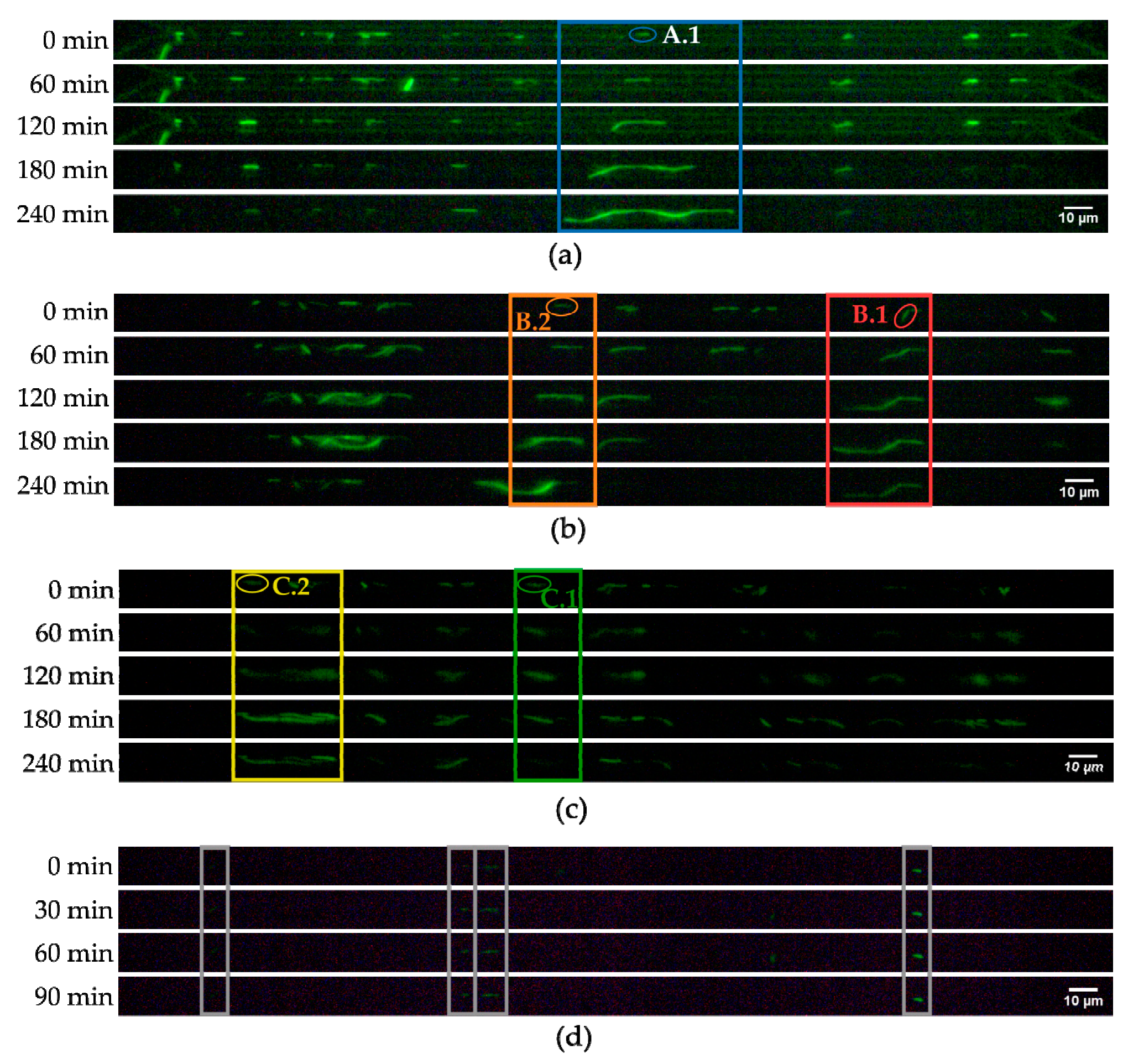 Micromachines 10 00691 g006