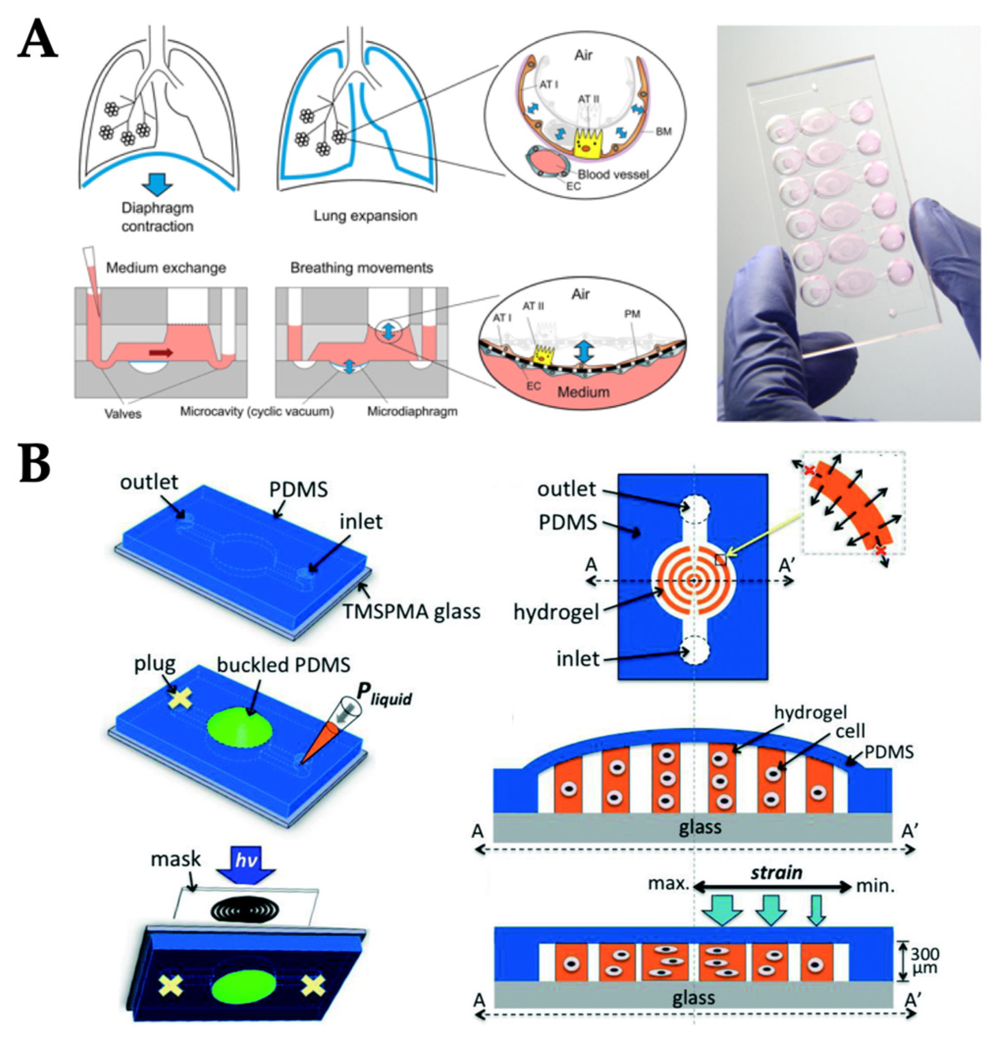 Micromachines 10 00700 g006