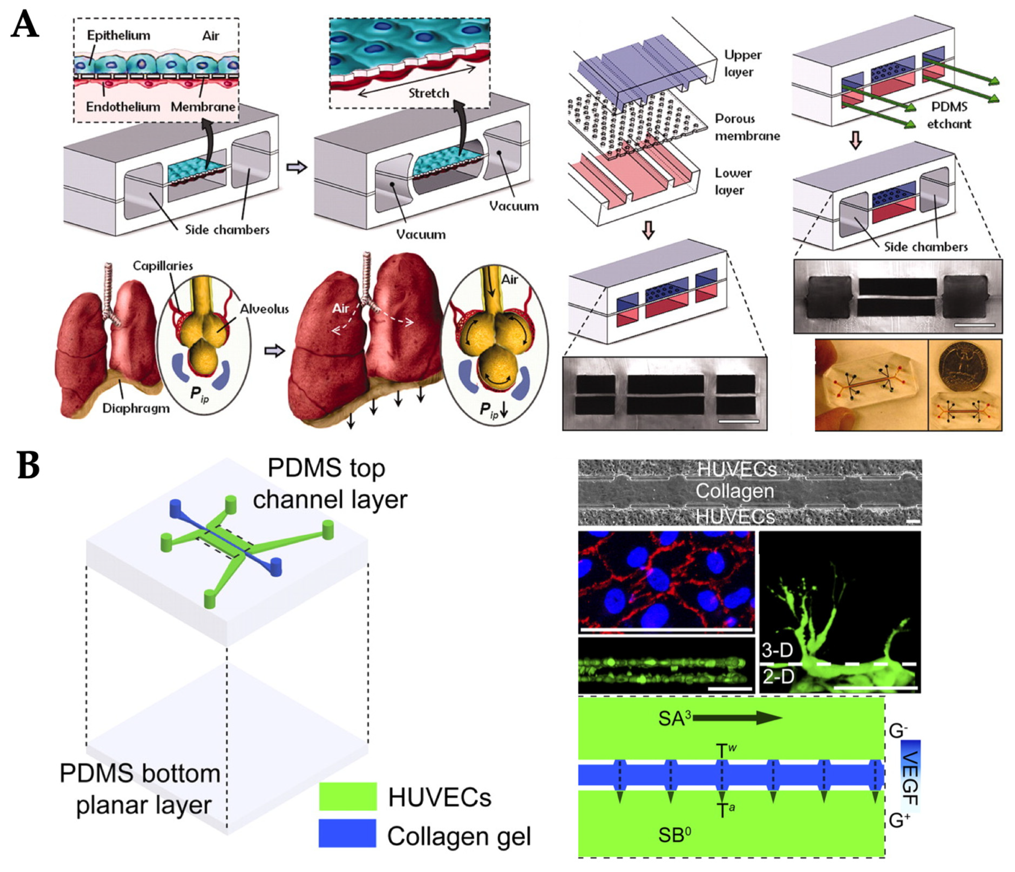 Micromachines 10 00700 g008