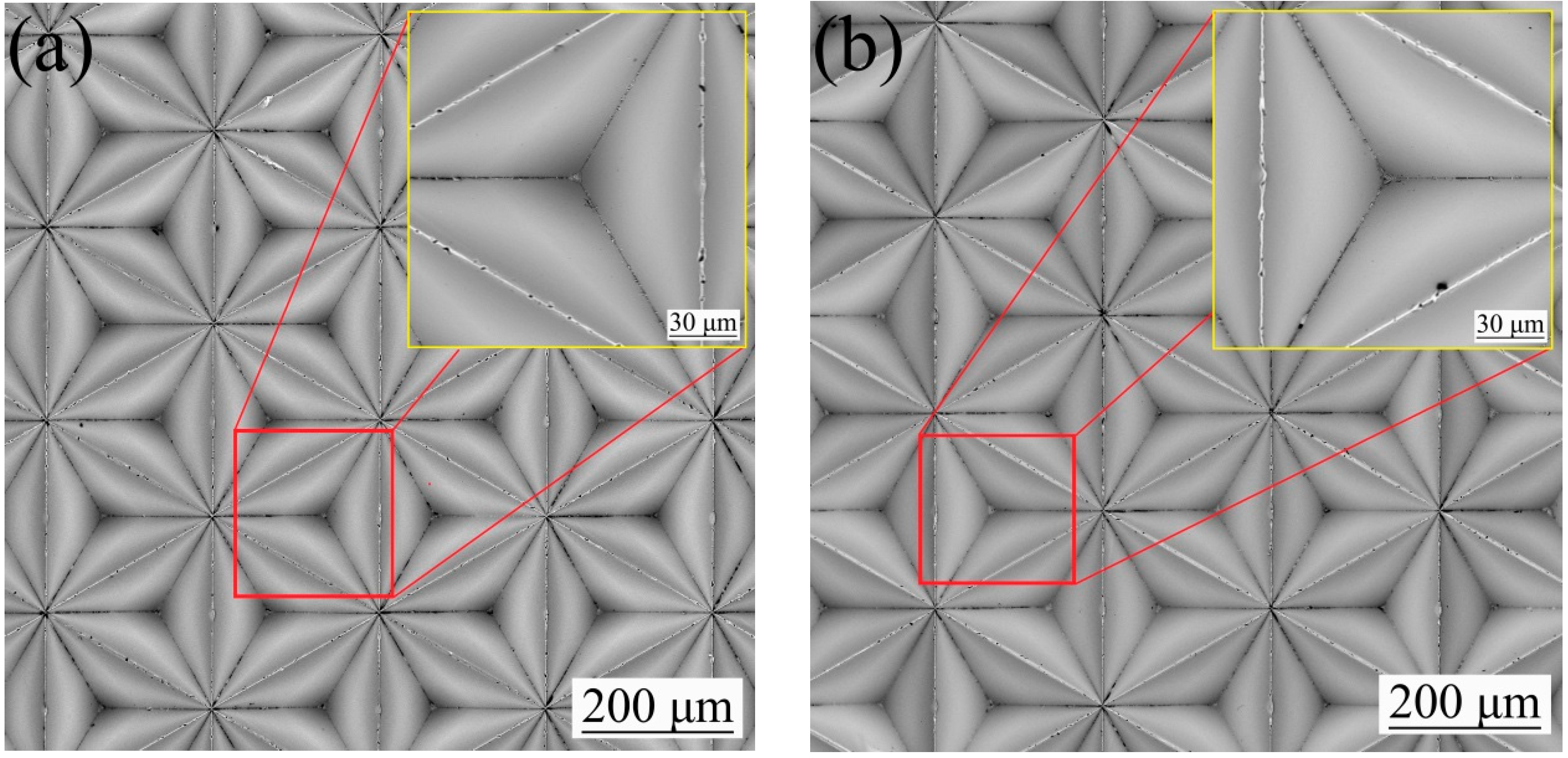 Micromachines 10 00702 g006