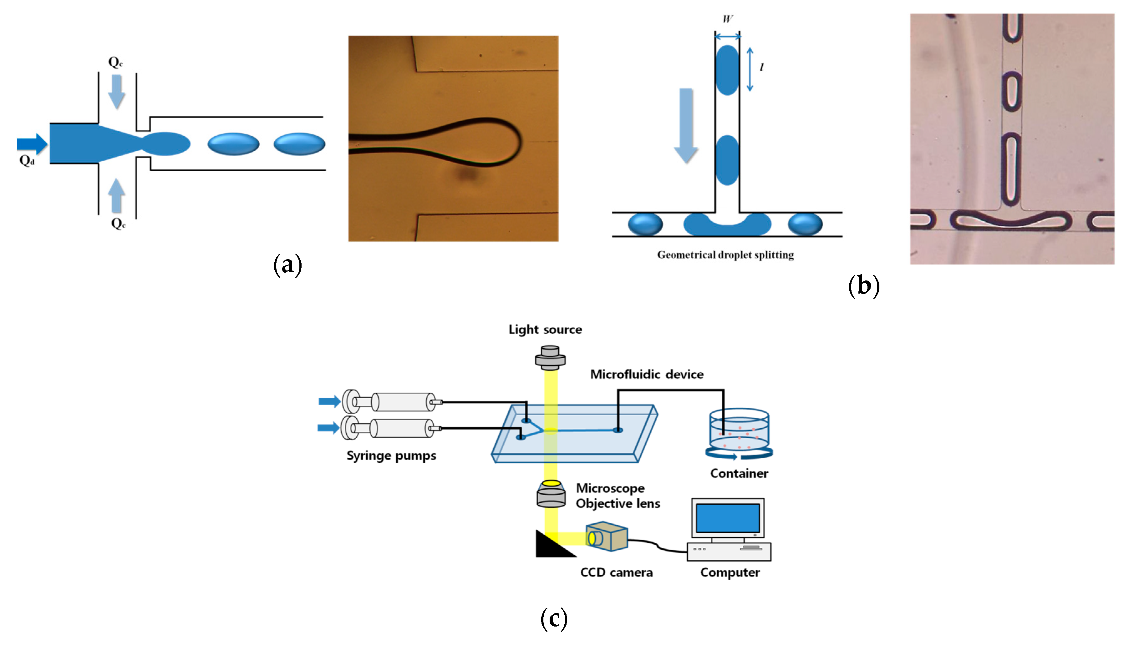 Micromachines 10 00709 g001