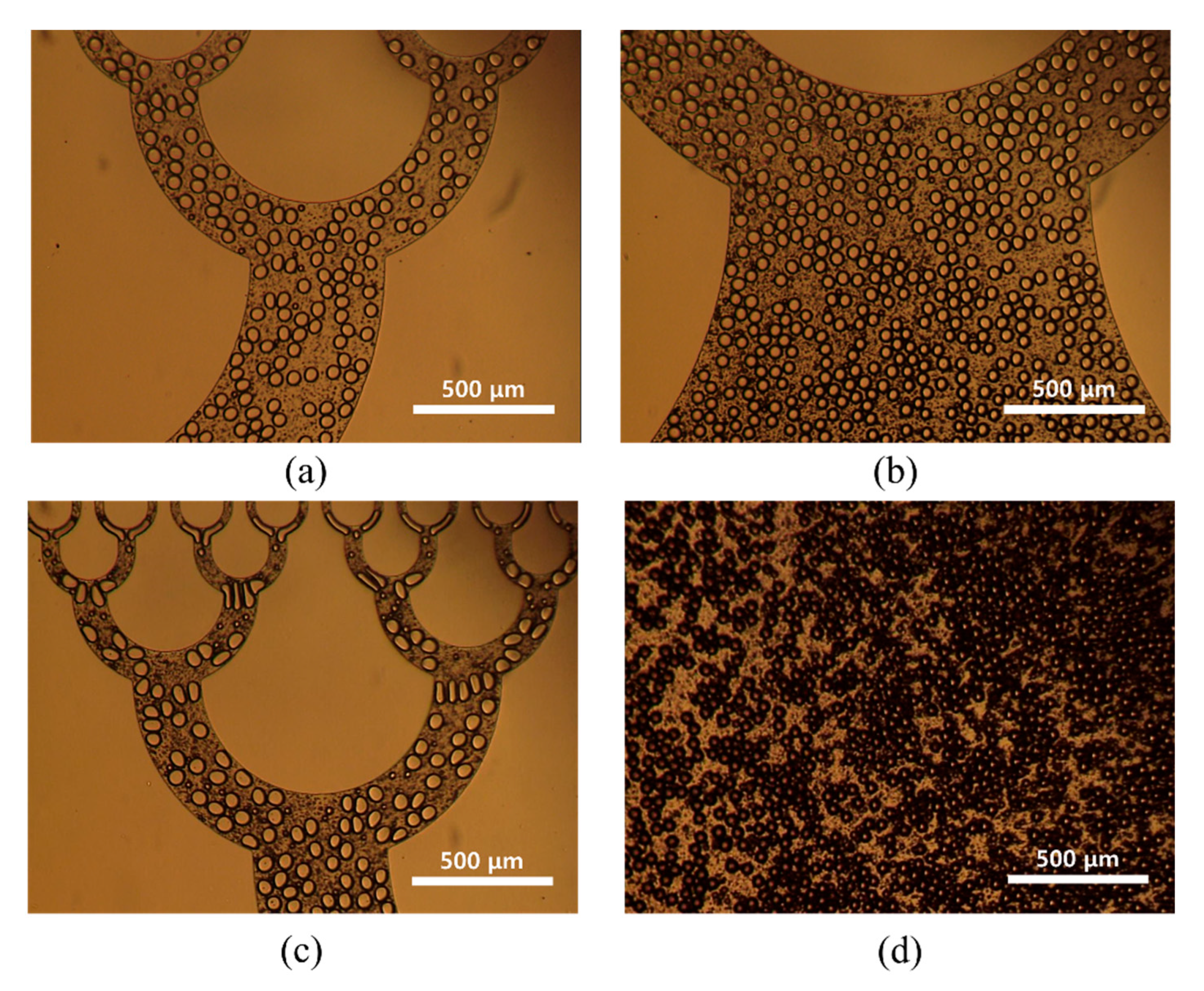 Micromachines 10 00709 g006