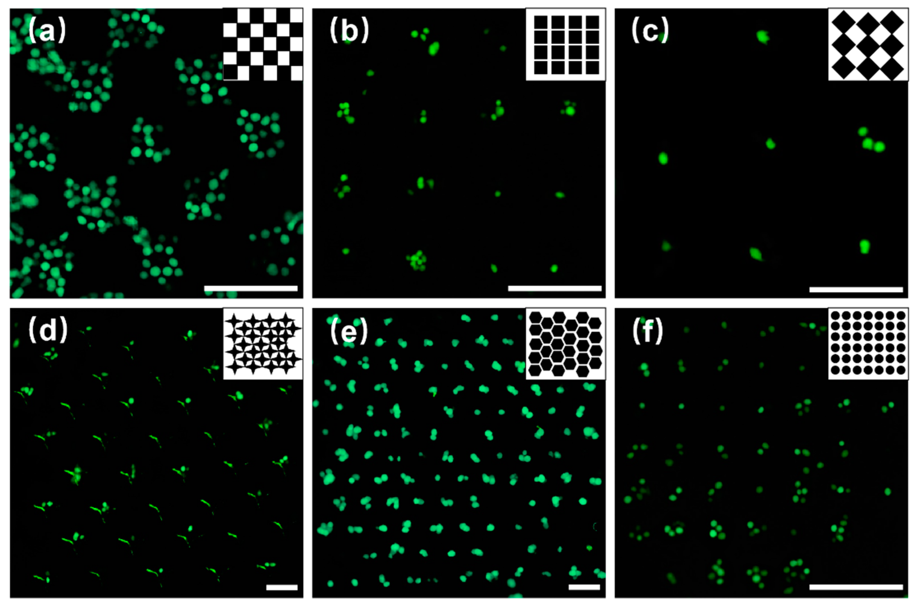 Facile Method for Fabricating Microfluidic Chip Integrated with ...