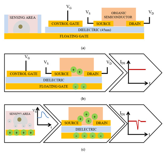 Micromachines | Free Full-Text | A Smart Floating Gate Transistor with ...