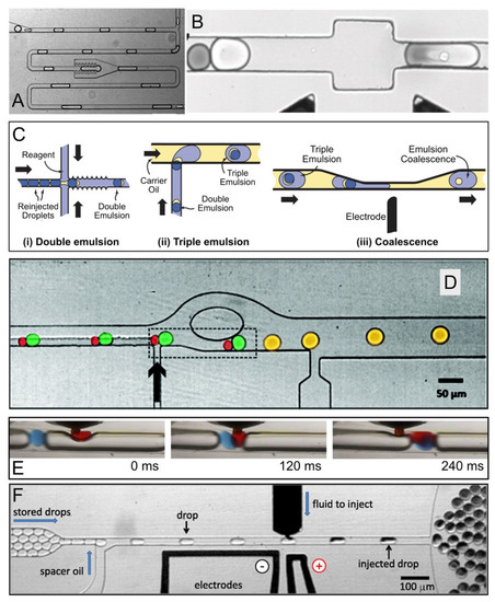 Droplet Microfluidics-Enabled High-Throughput Screening for Protein ...
