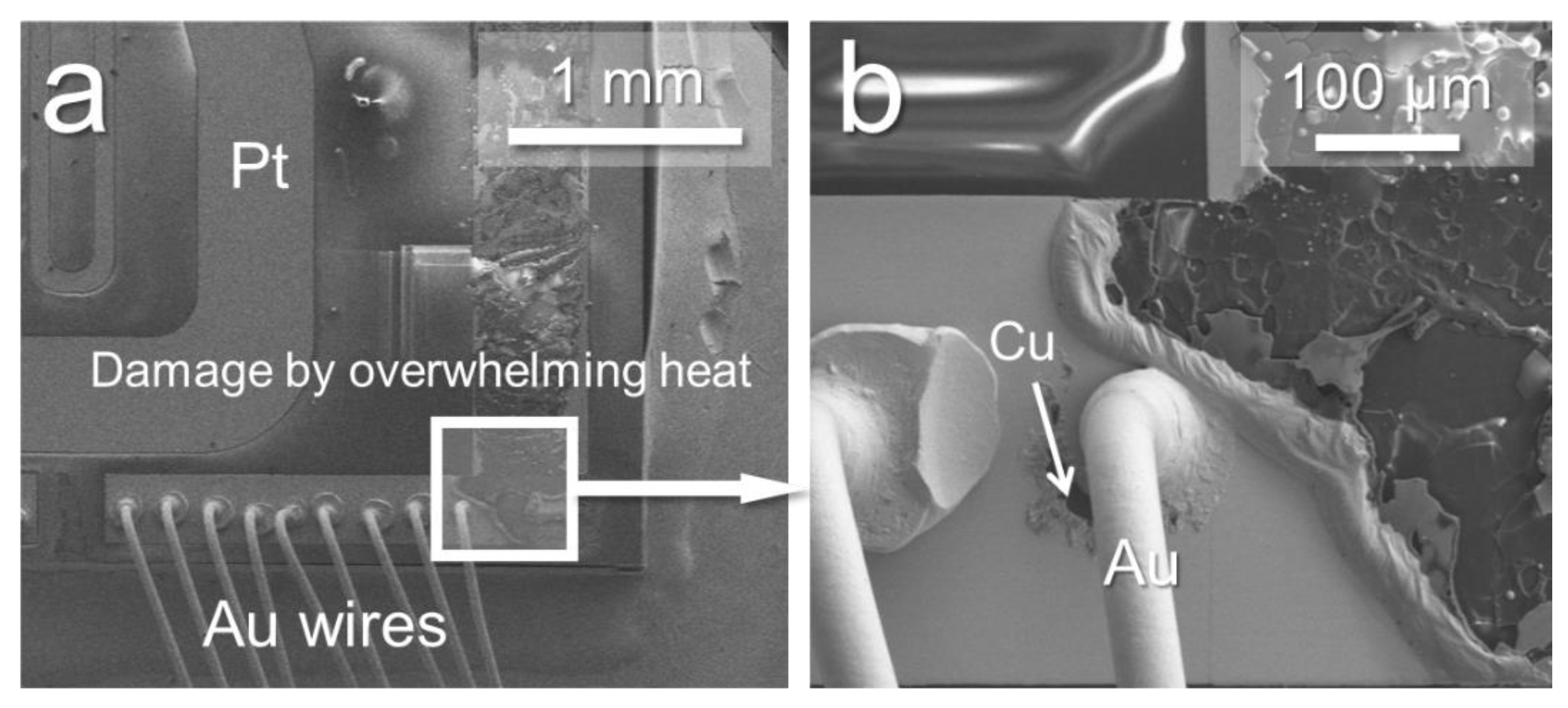 Micromachines 10 00745 g008