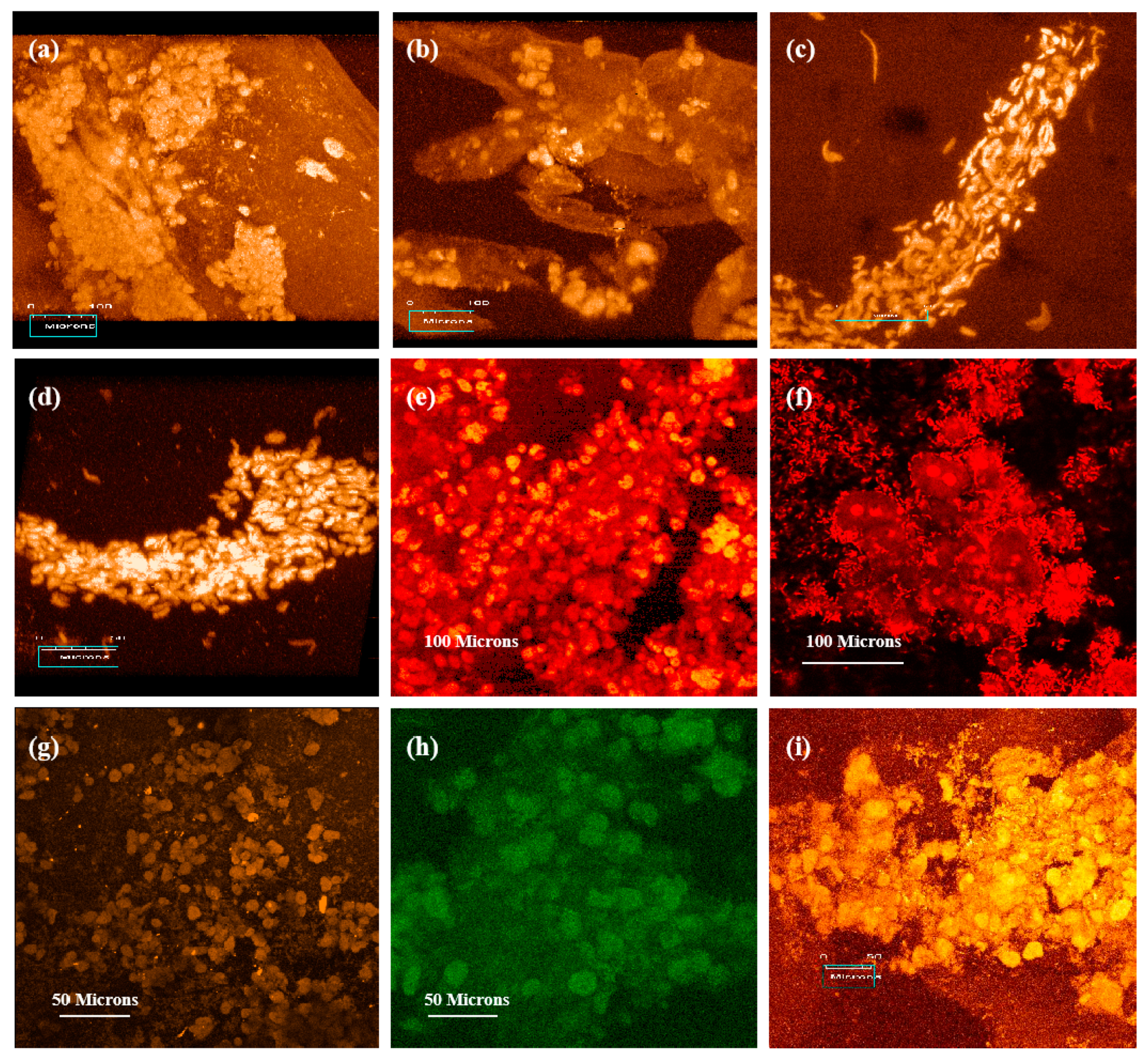 Micromachines 10 00765 g008 Micromachines 10 00765 g008
