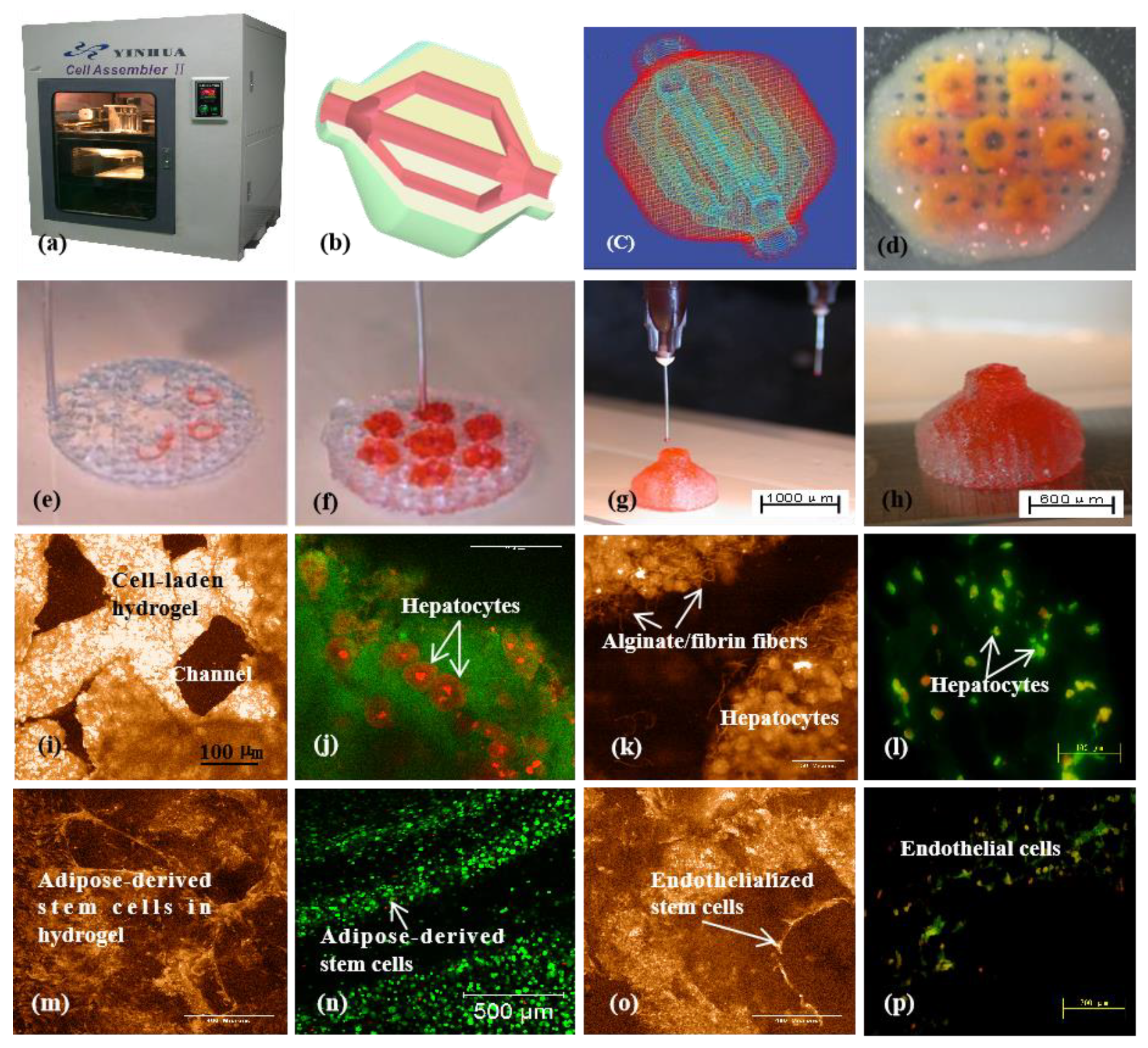 Micromachines 10 00765 g010 Micromachines 10 00765 g010