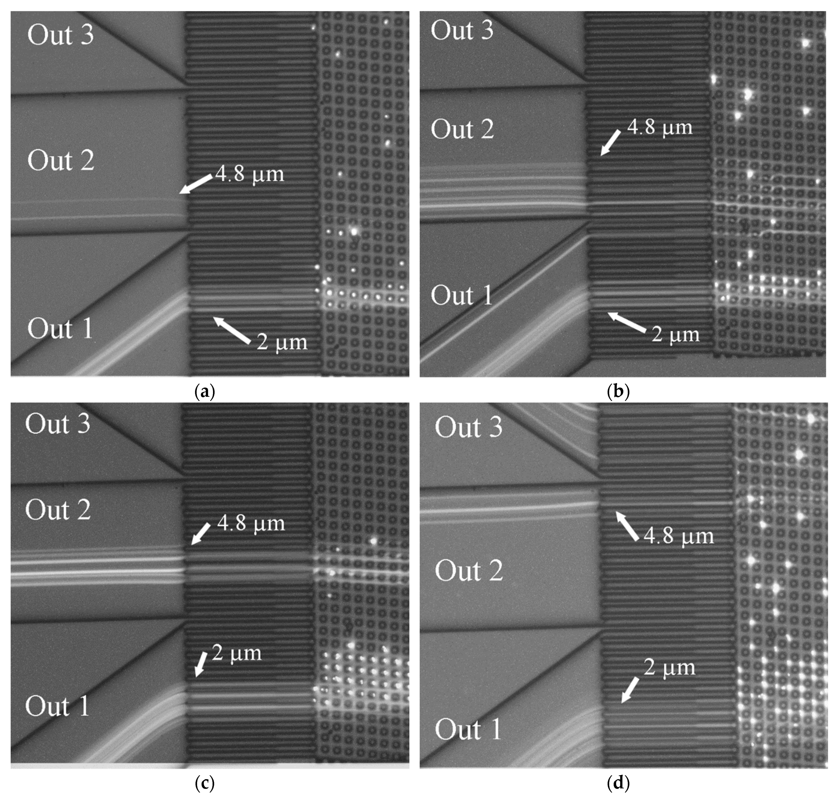 Micromachines 10 00768 g016 550
