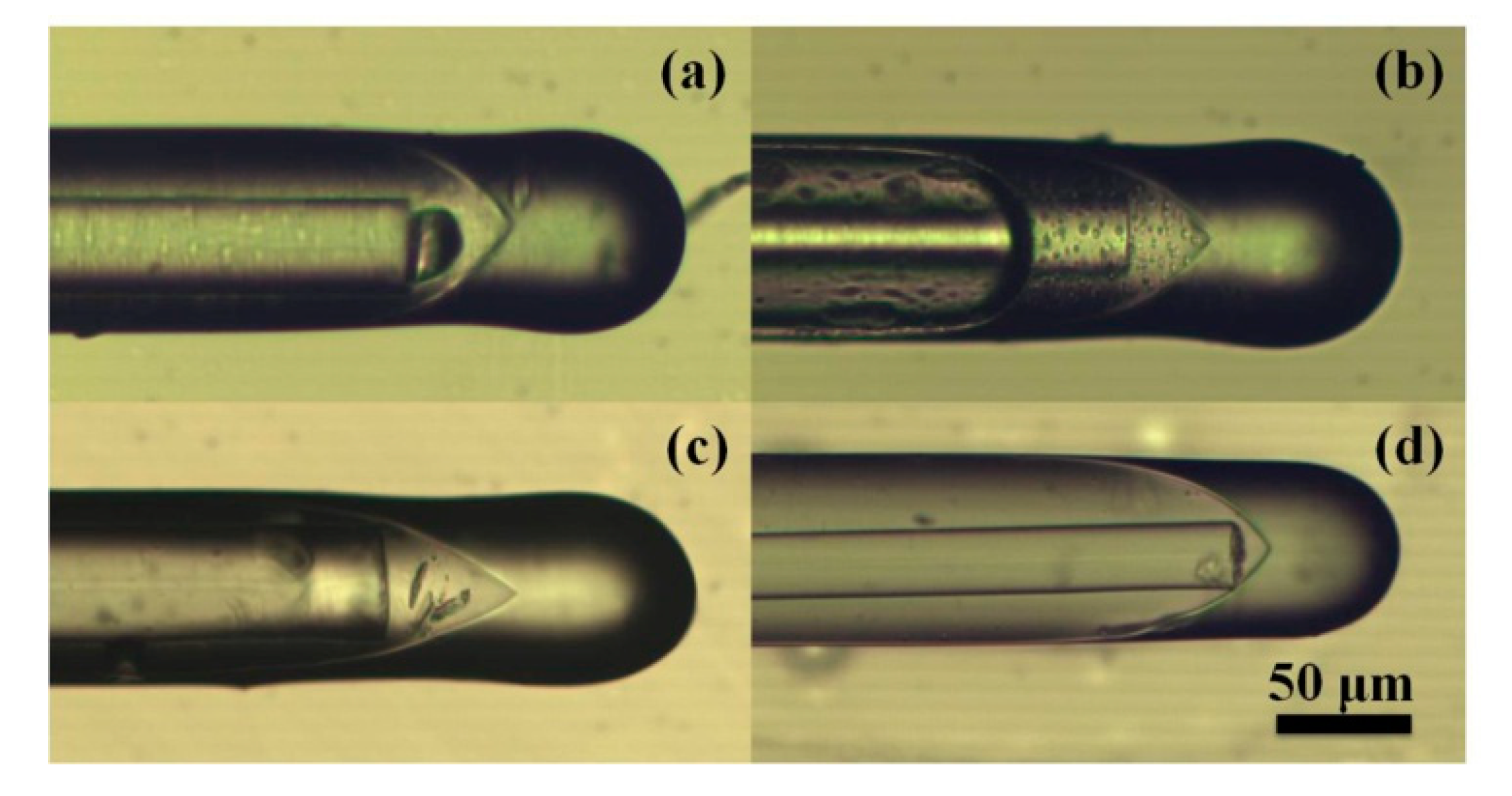 Micromachines 10 00773 g004 Micromachines 10 00773 g004
