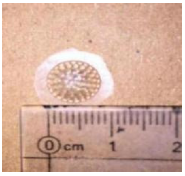 Micromachines 10 00776 g002 Micromachines 10 00776 g002